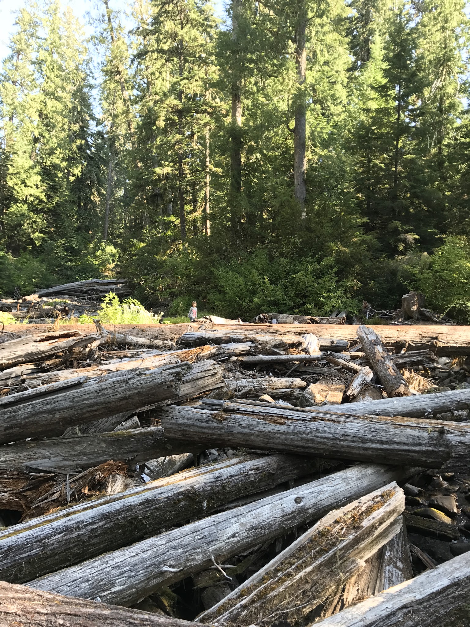 Shellrock Creek Campground