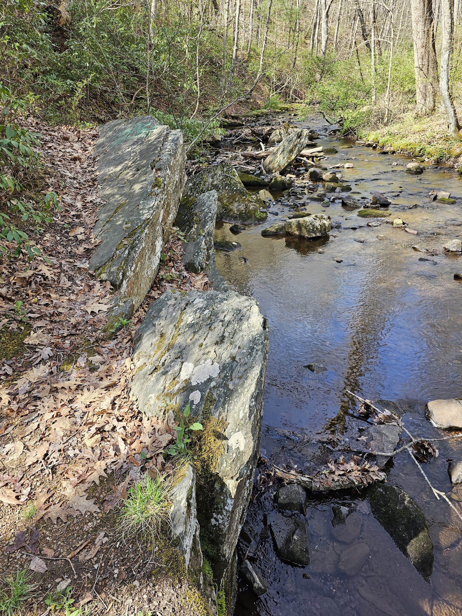 Hidden gem campgrounds in Virginia