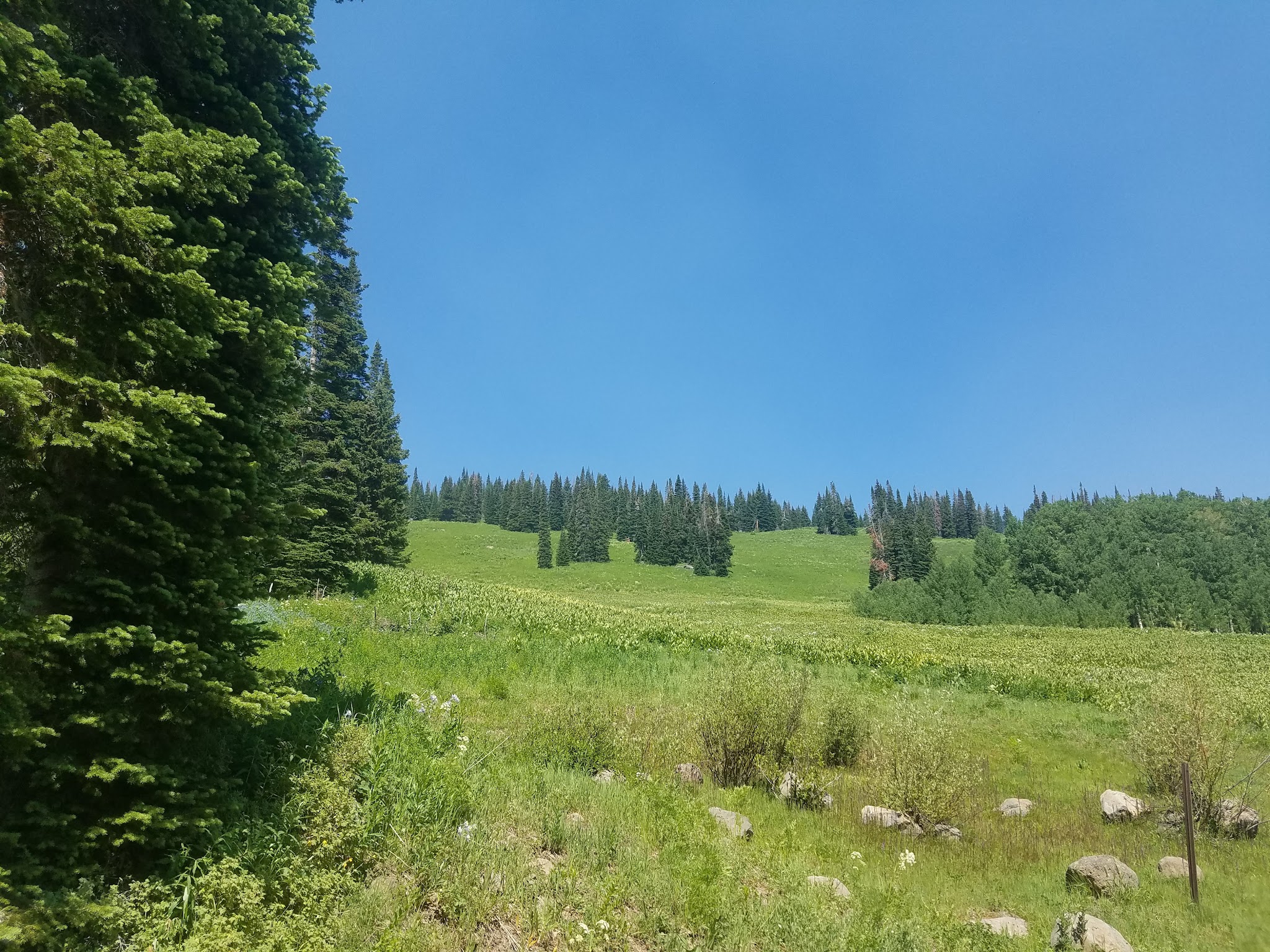 Sheriff Reservoir Campground