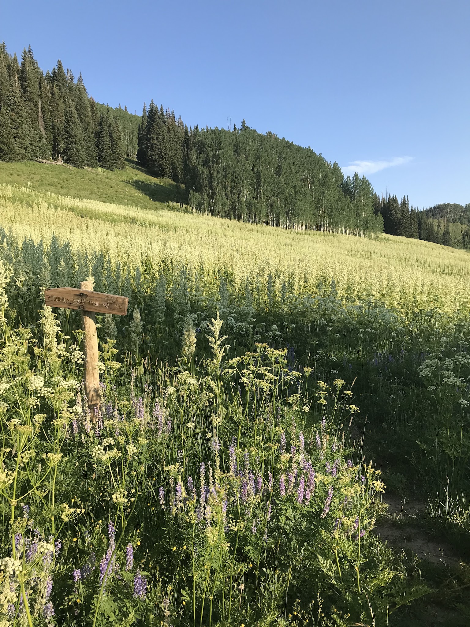 Sheriff Reservoir Campground