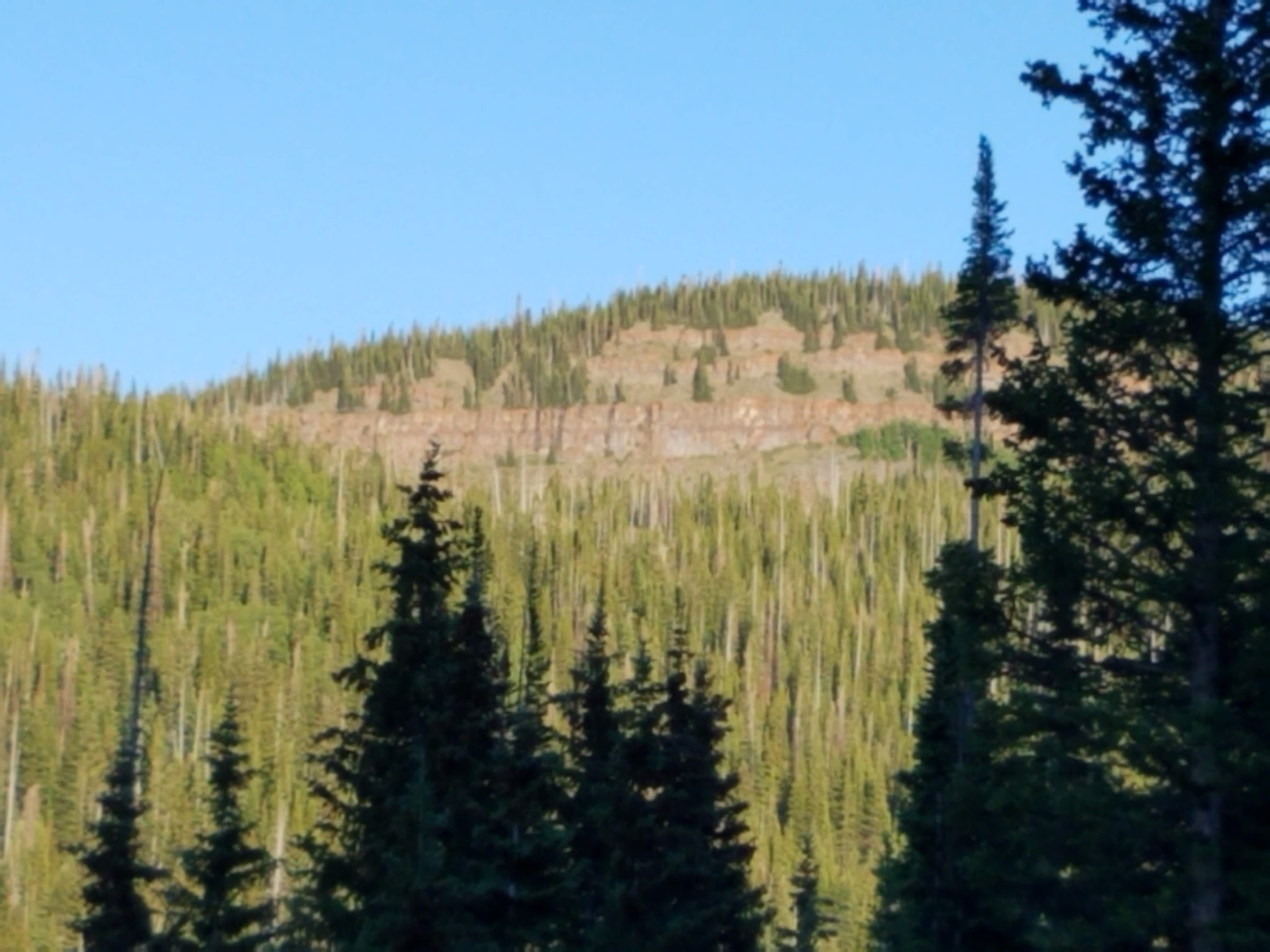 Sheriff Reservoir Campground