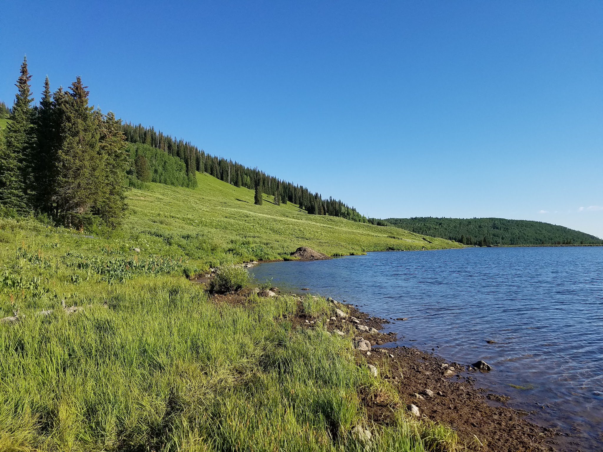 Sheriff Reservoir Campground