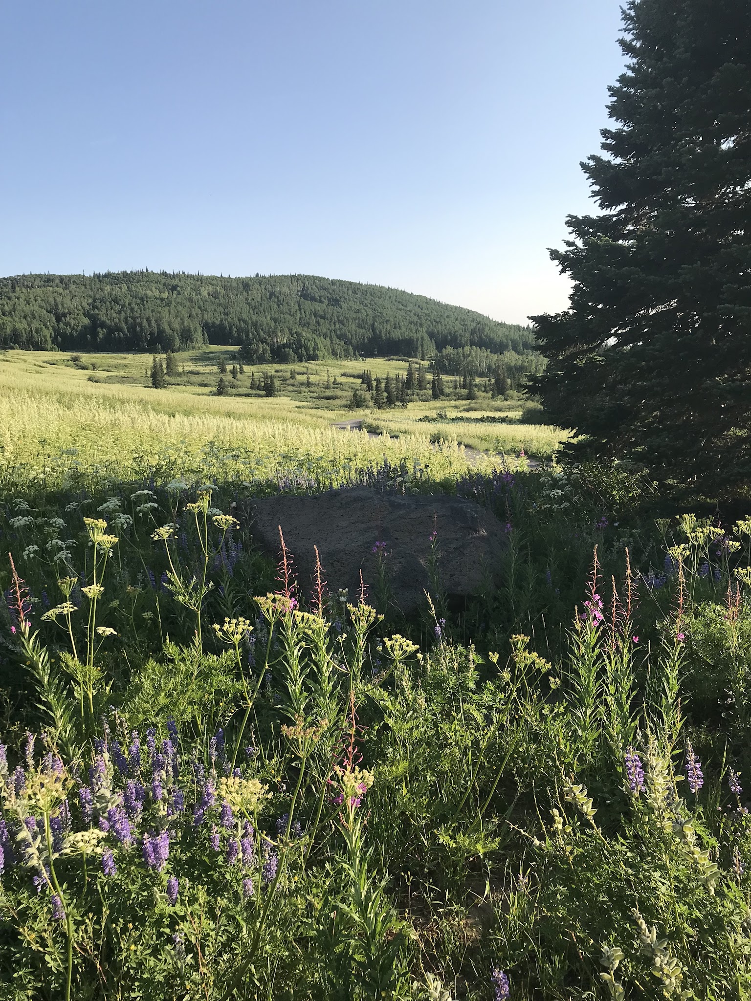 Sheriff Reservoir Campground