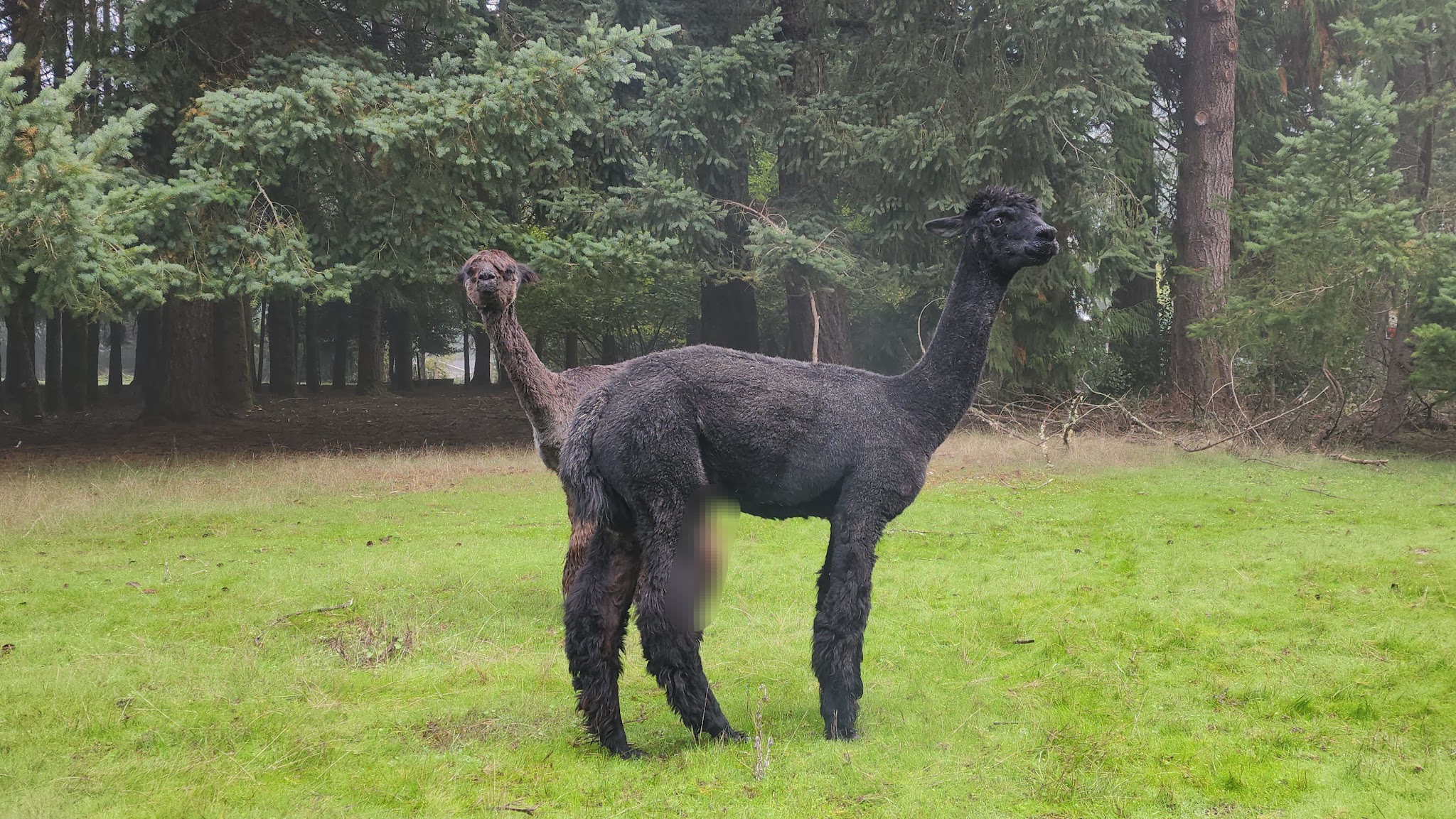 Baker Creek Woods Conservation Easement Crup Campground