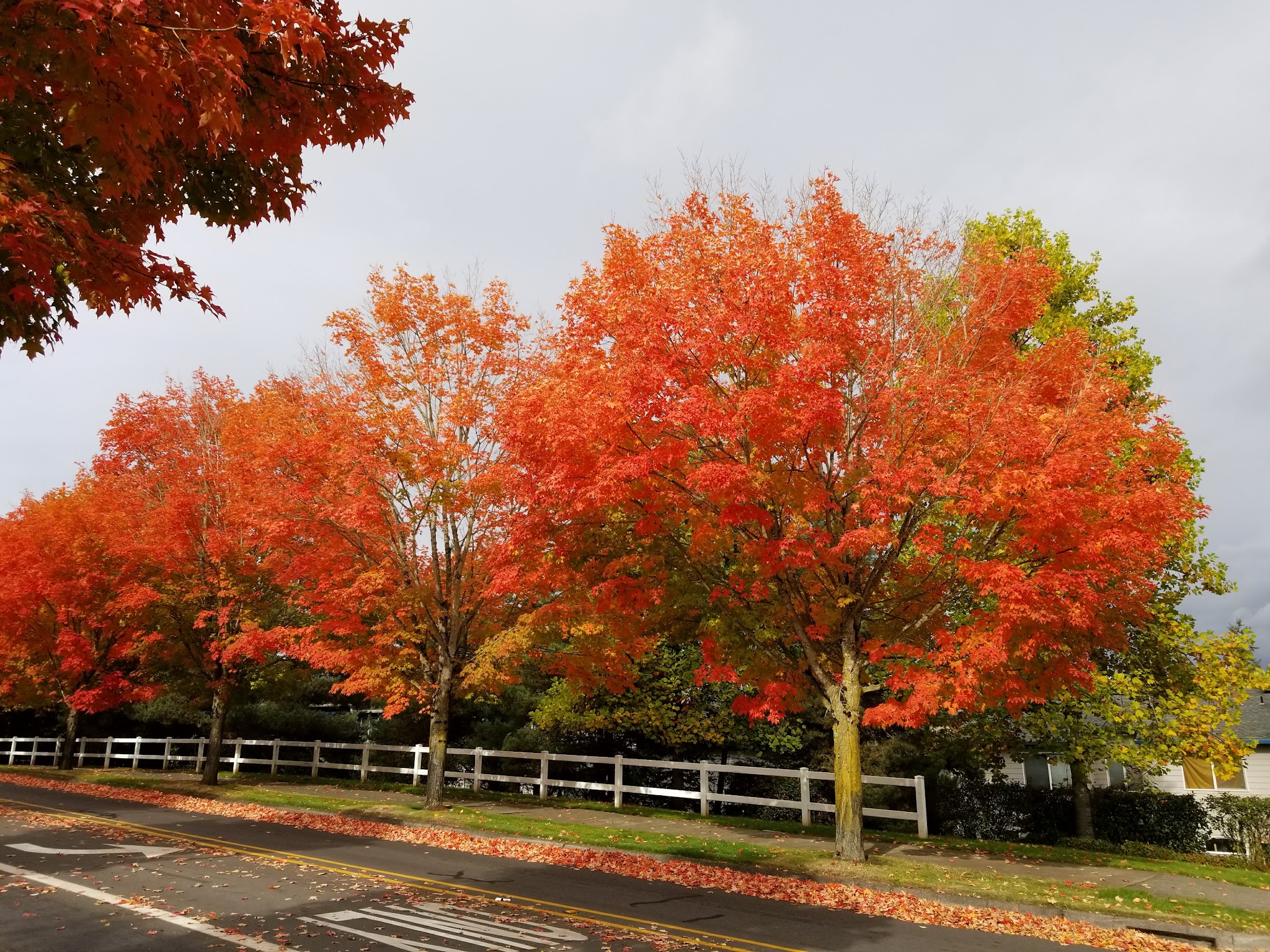 Baker Creek Woods Conservation Easement Crup Campground
