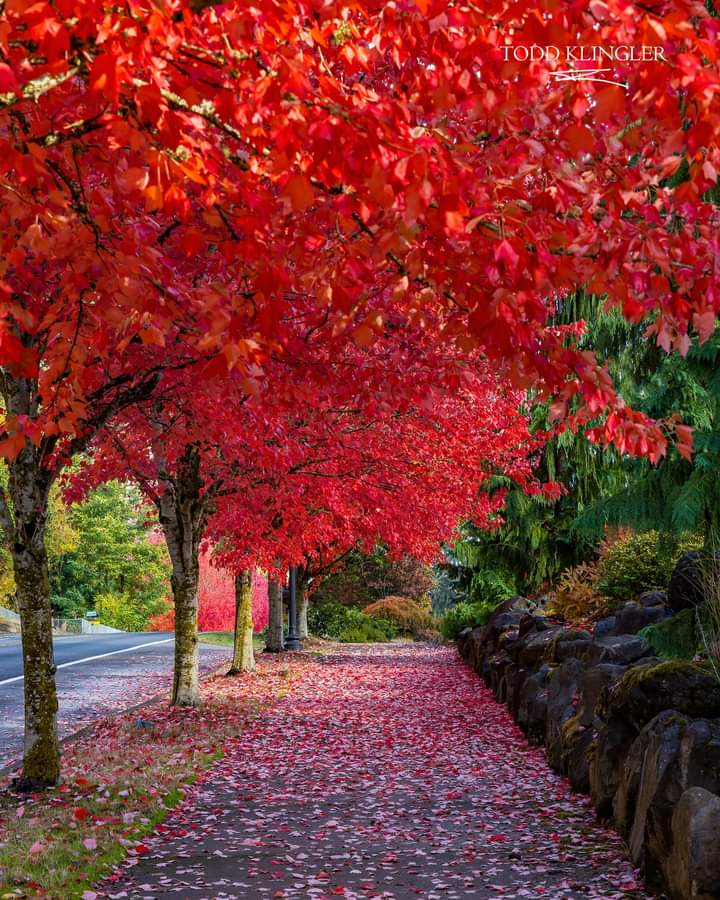 Baker Creek Woods Conservation Easement Crup Campground