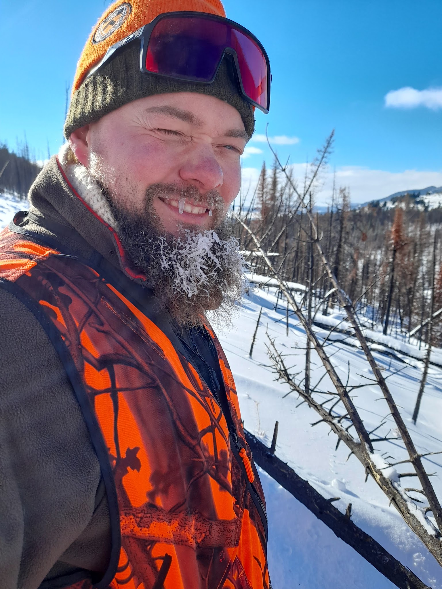 Shields River Dispersed Site