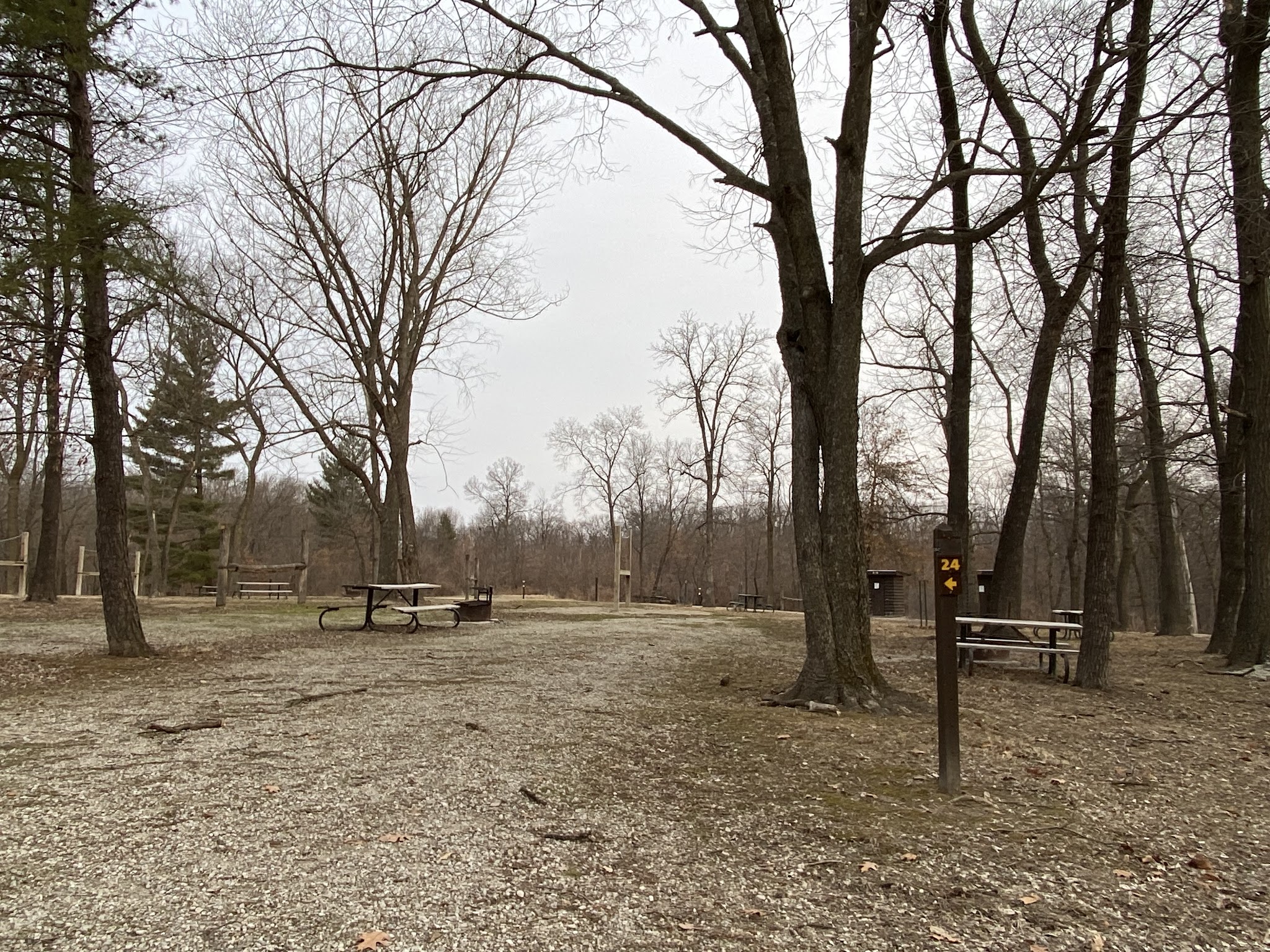 Shimek Forest Campground
