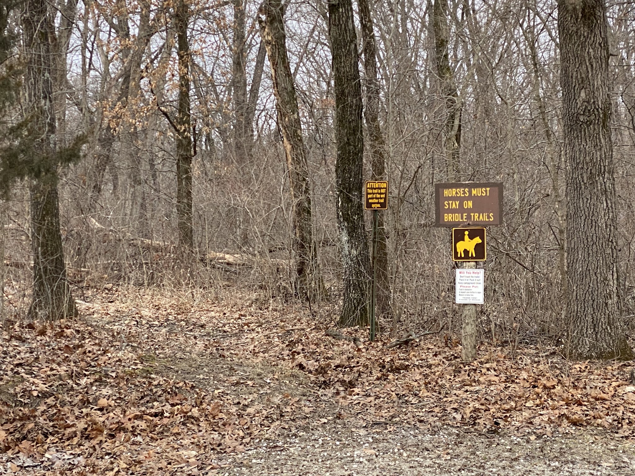 Shimek Forest Campground