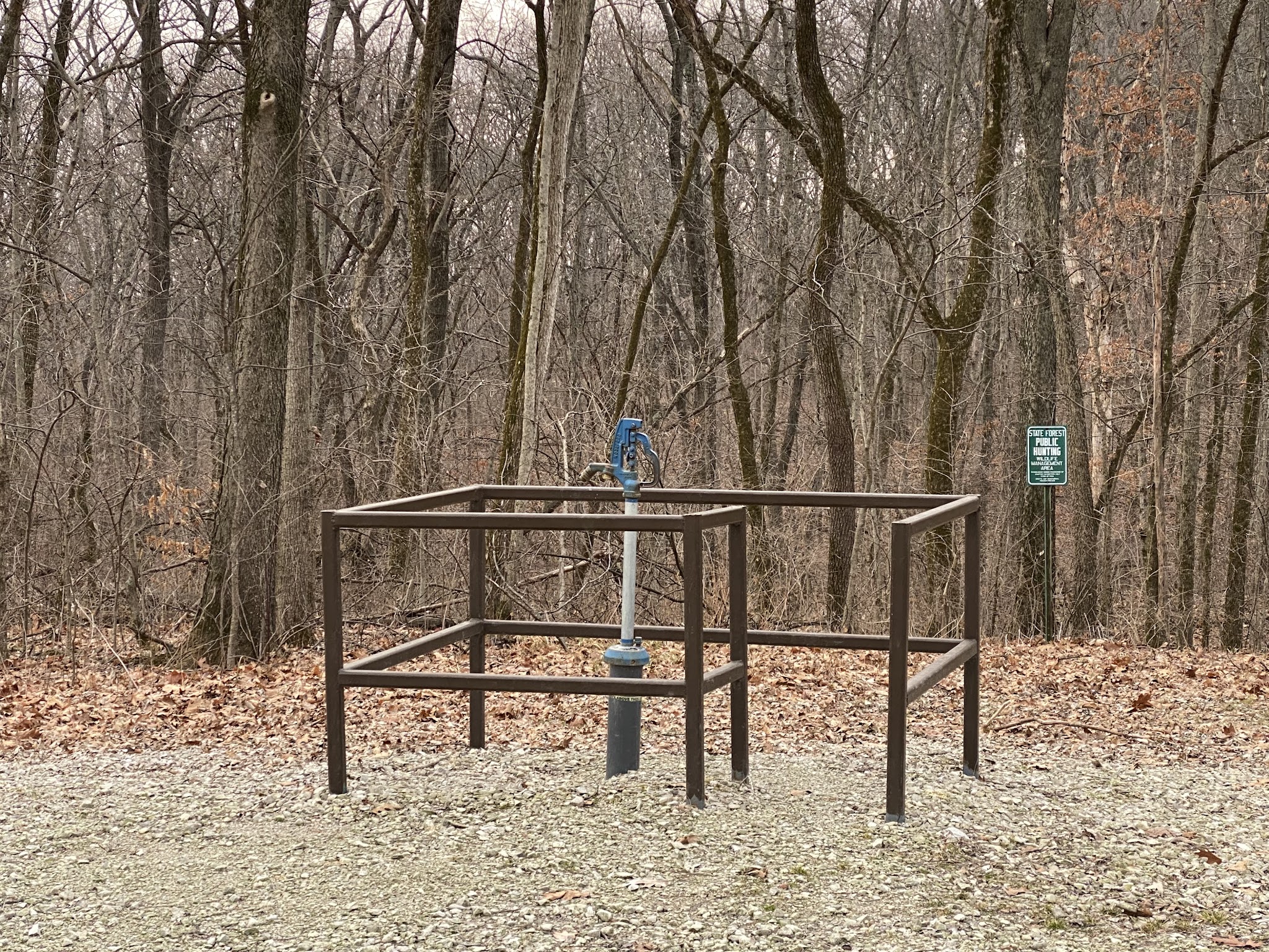 Shimek Forest Campground