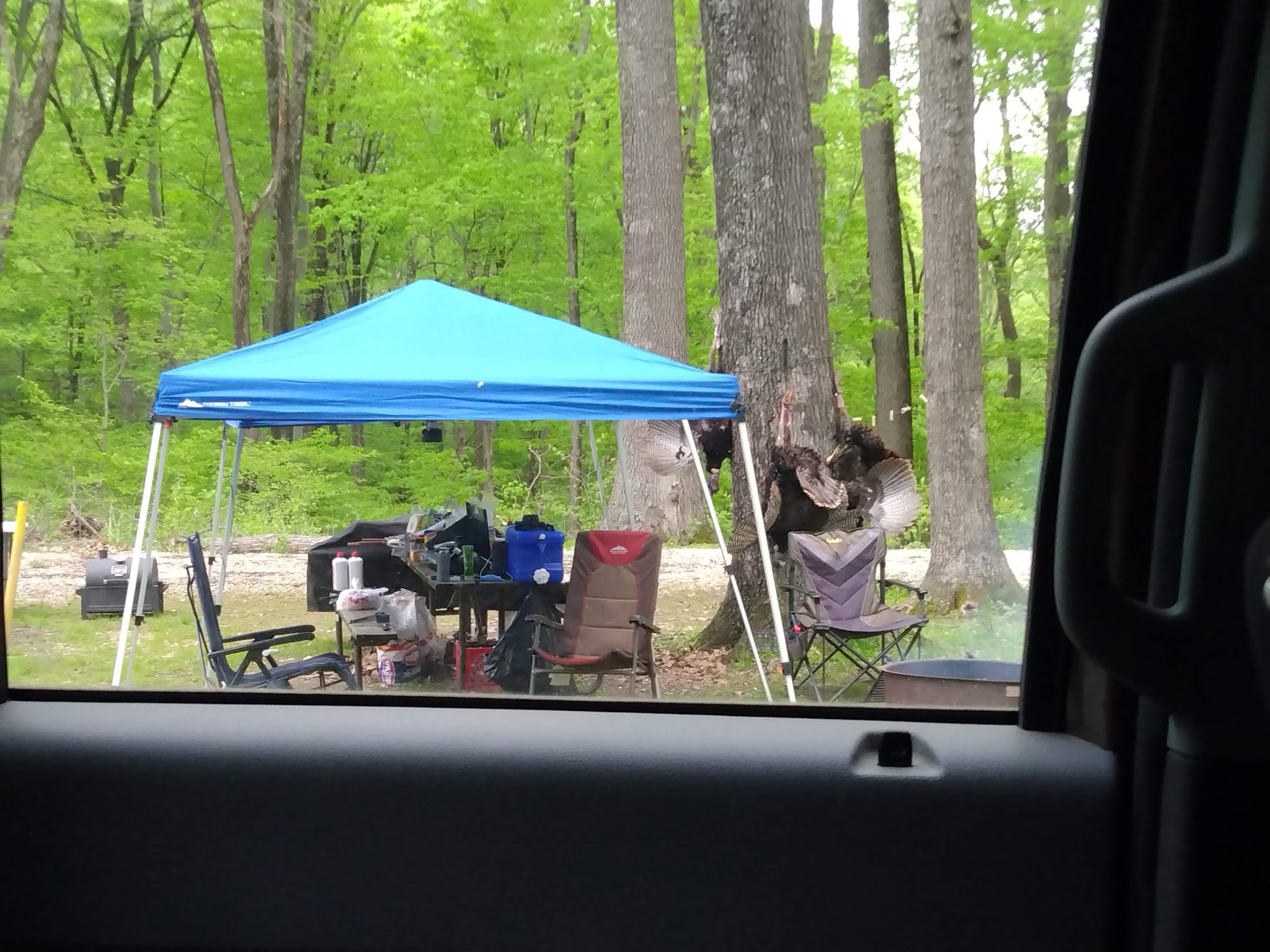 Shirley Creek Campground