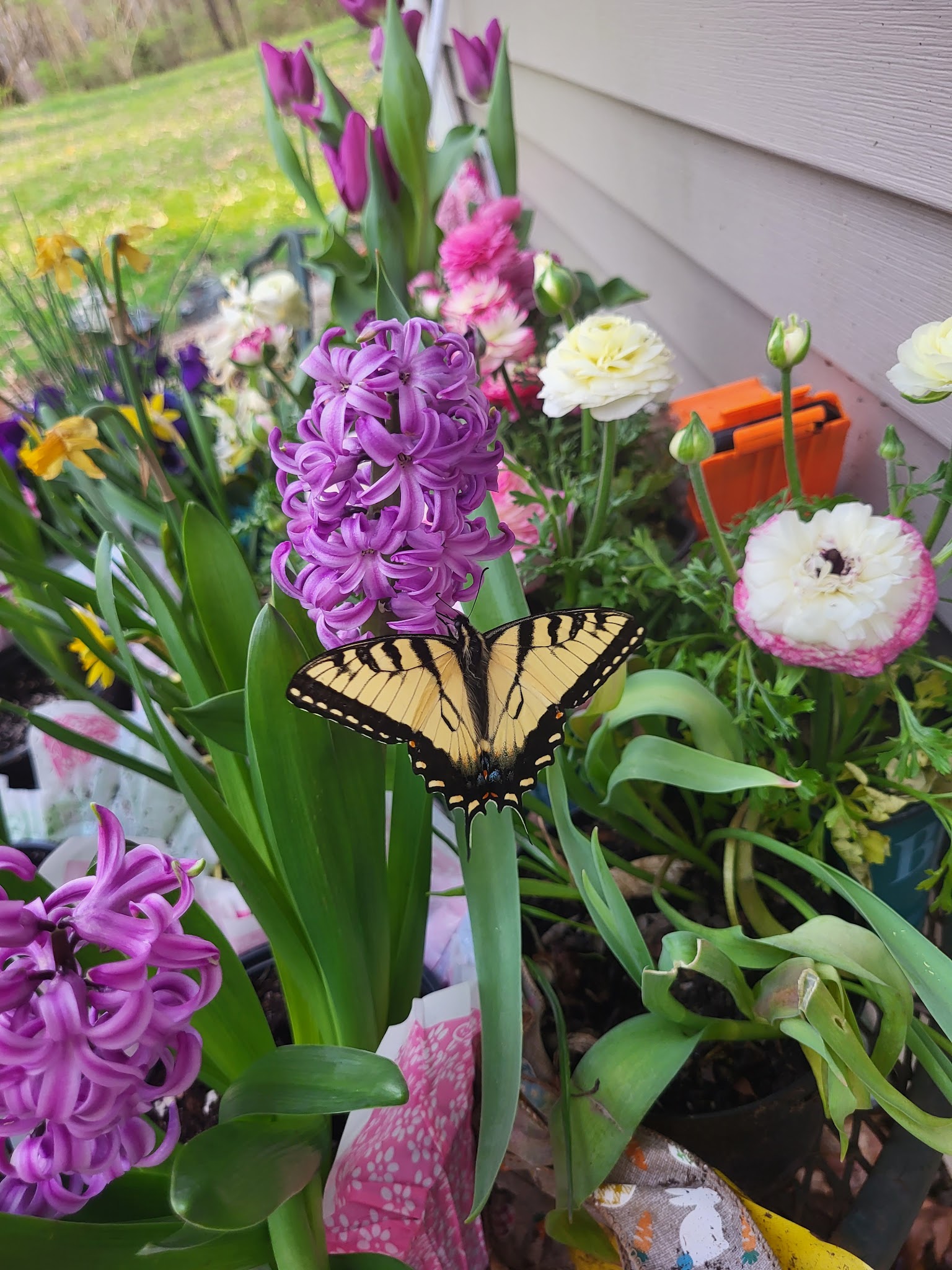 Shirley Creek Campground