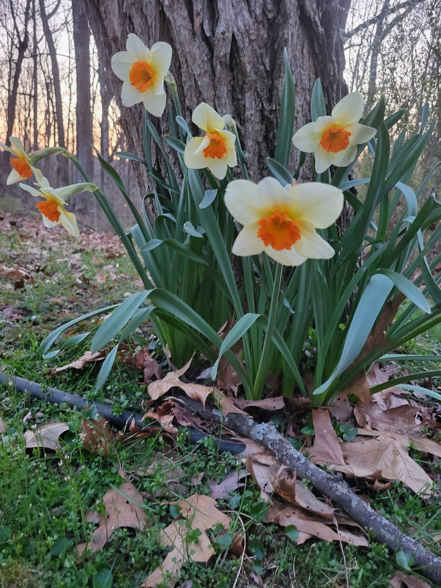 Shirley Creek Campground