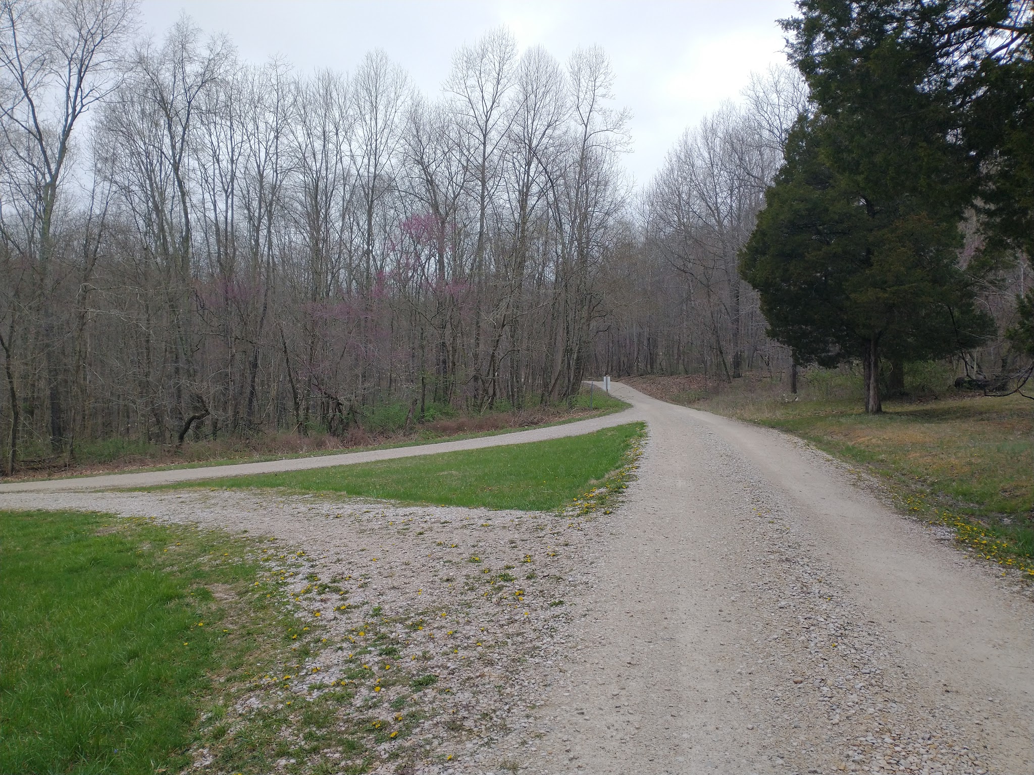 Shirley Creek Campground