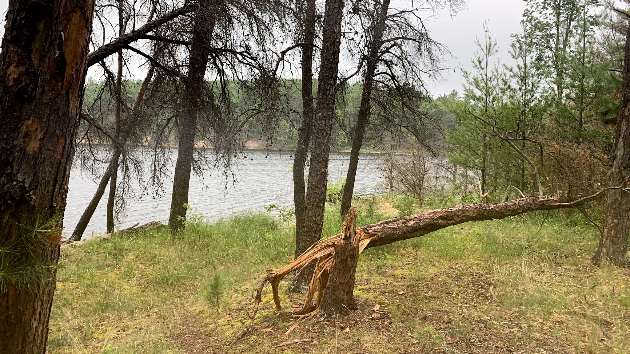 Shoepac Lake State Forest Campground
