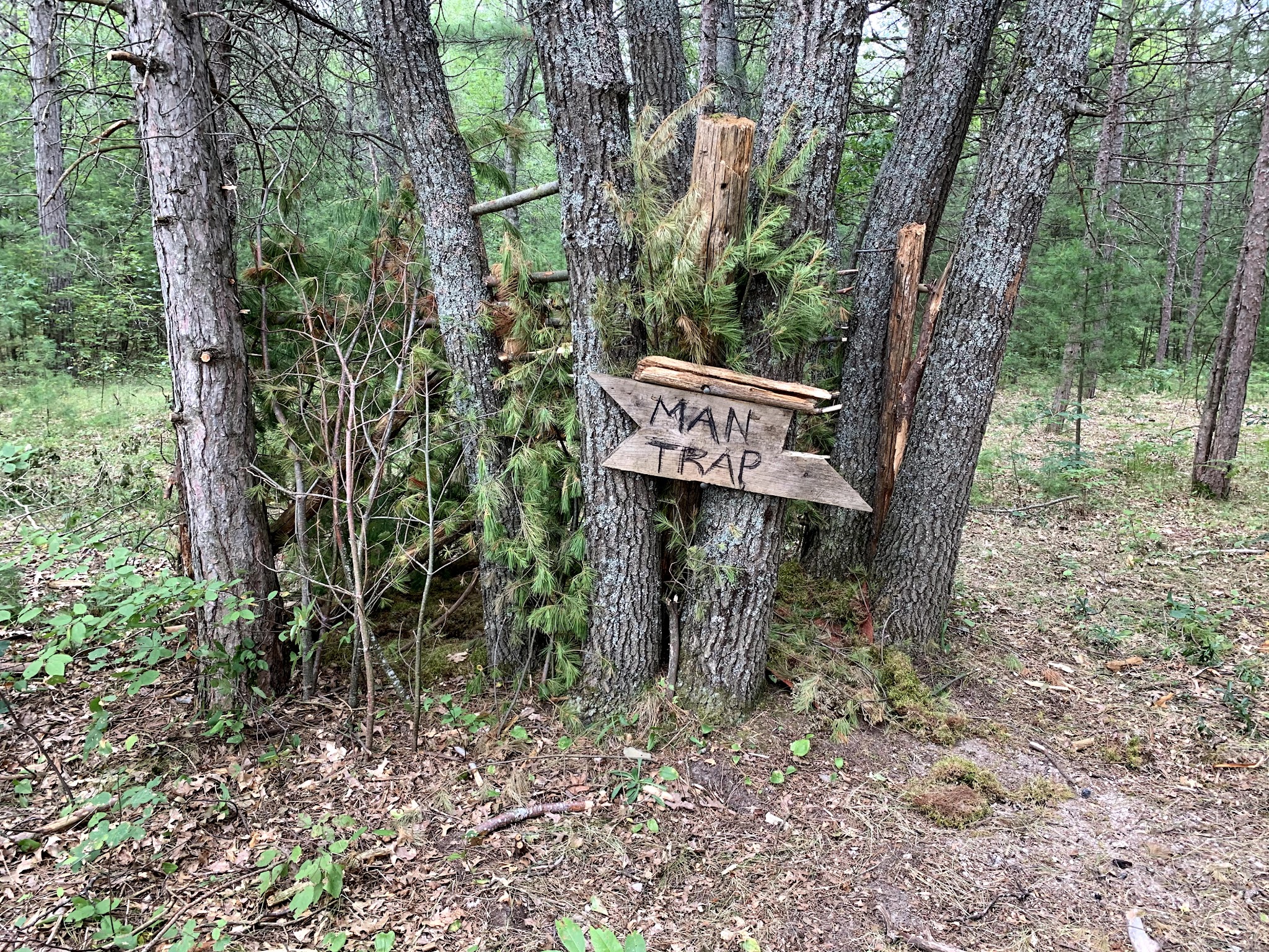 Shoepac Lake State Forest Campground