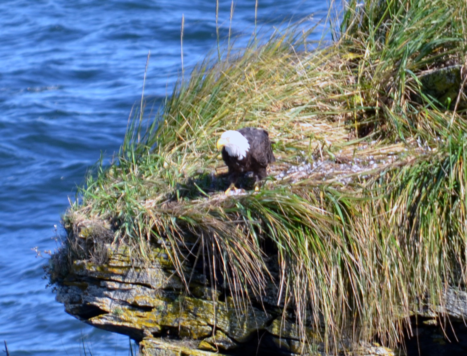 Shuyak Island State Park