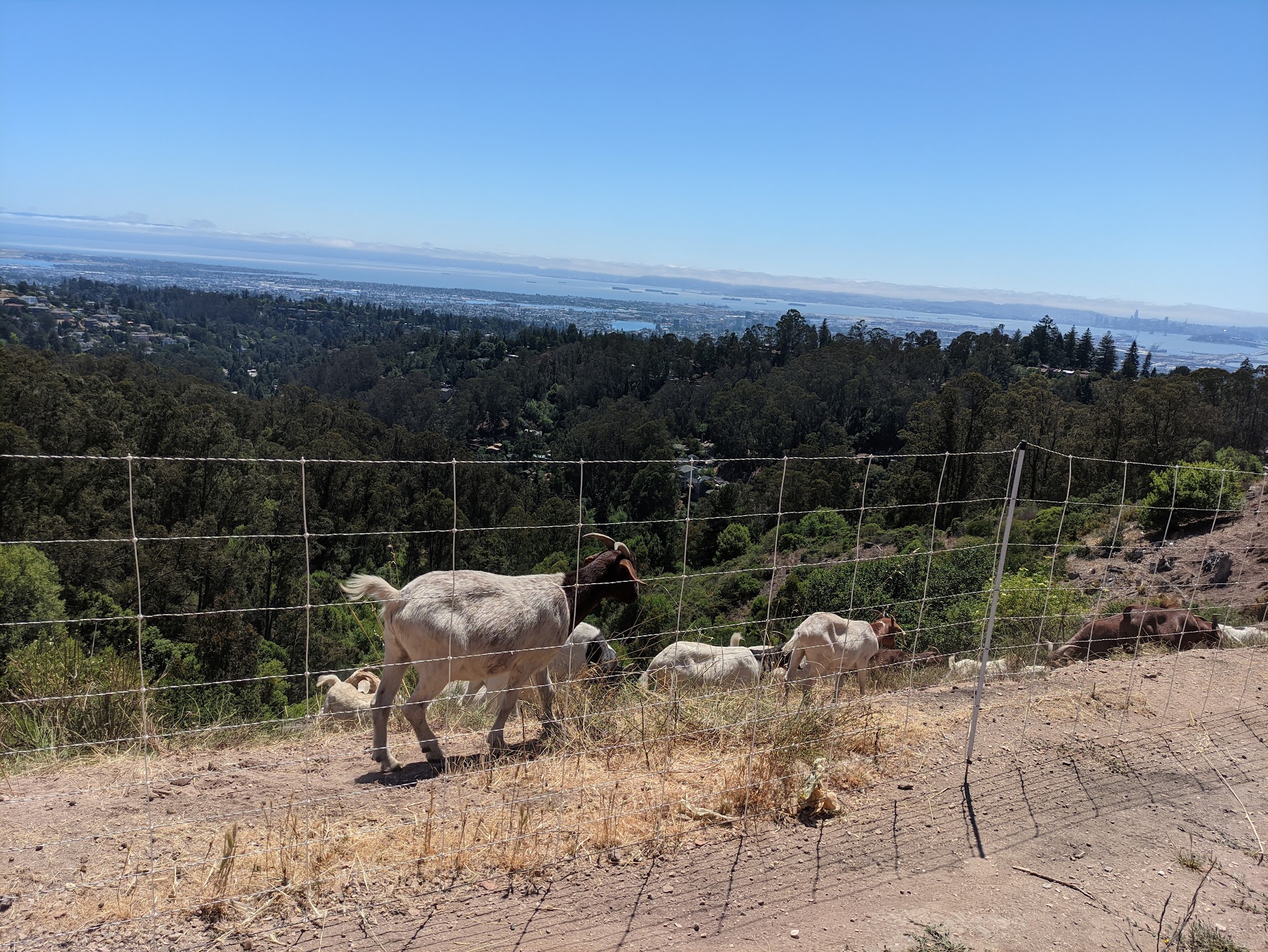 Sibley Volcanic Regional Preserve