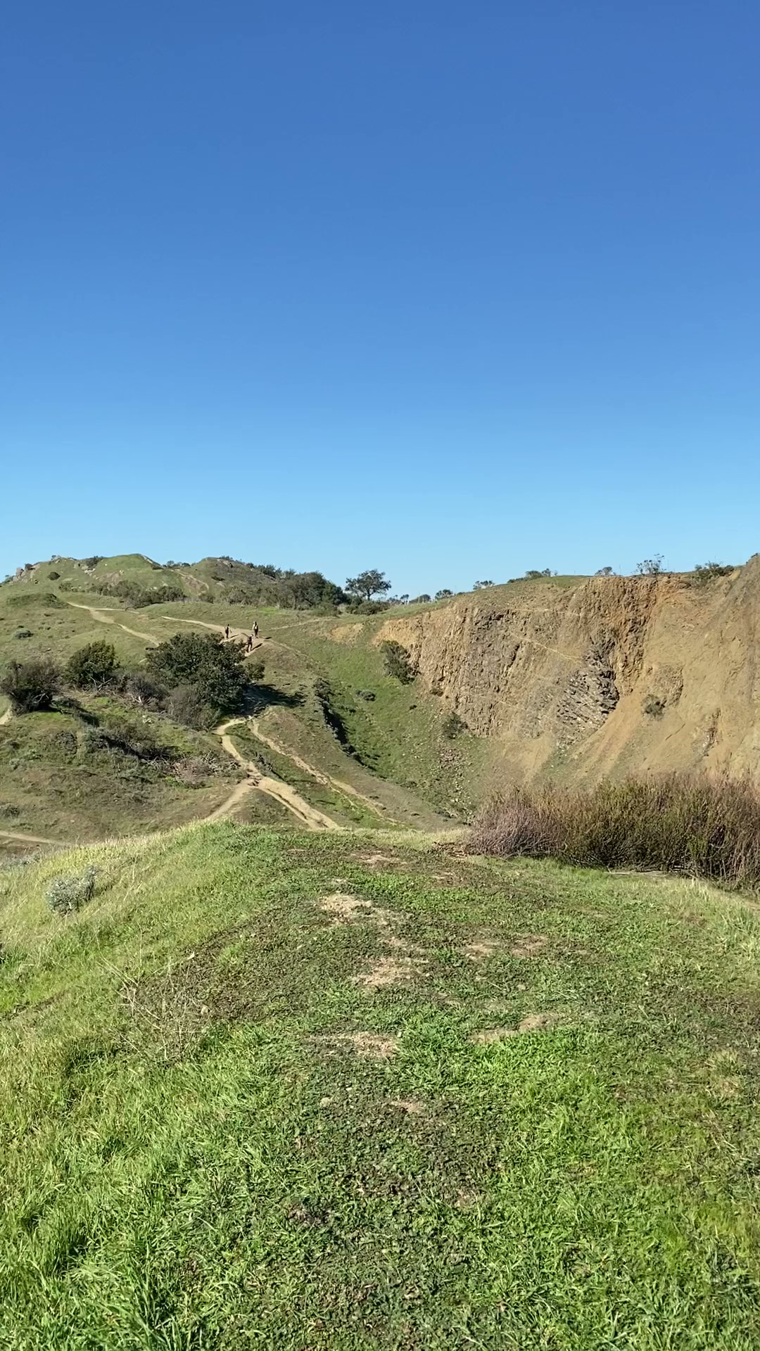 Sibley Volcanic Regional Preserve
