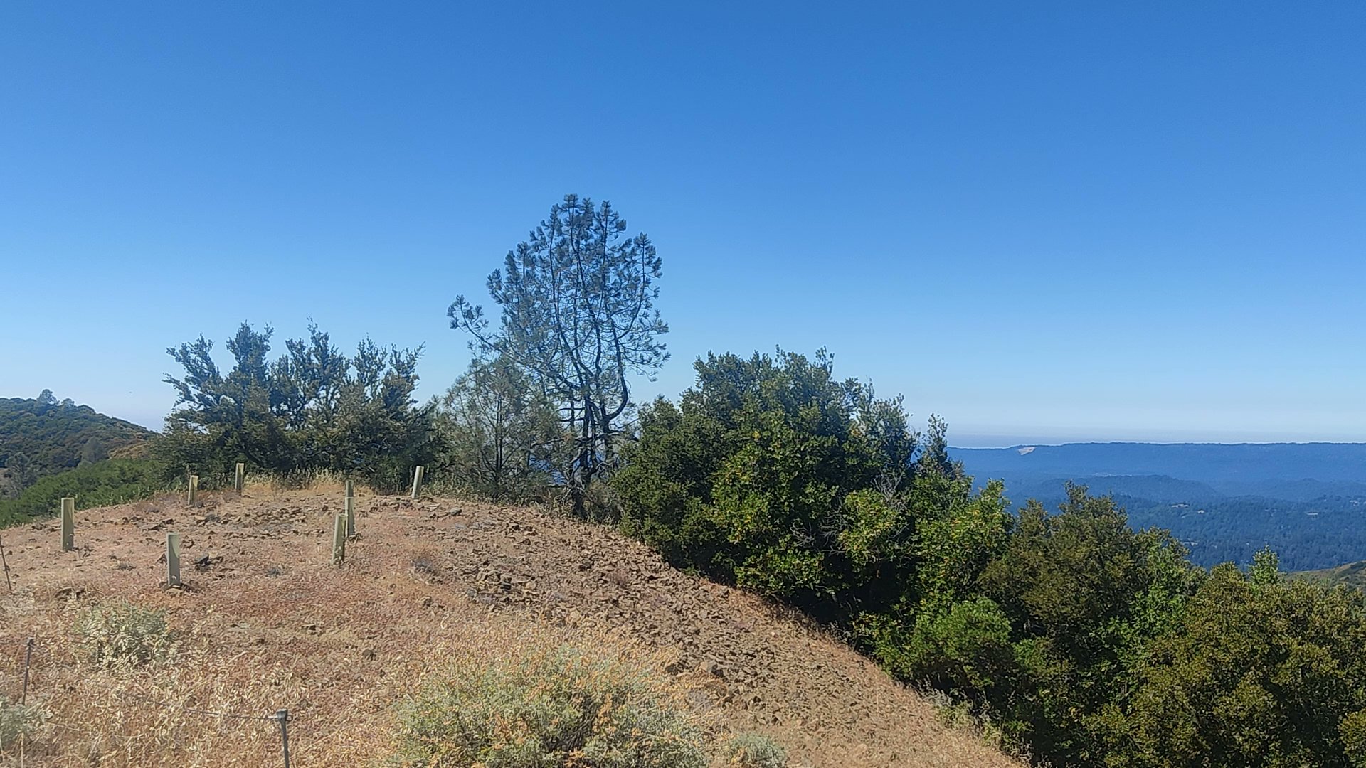 Sibley Volcanic Regional Preserve