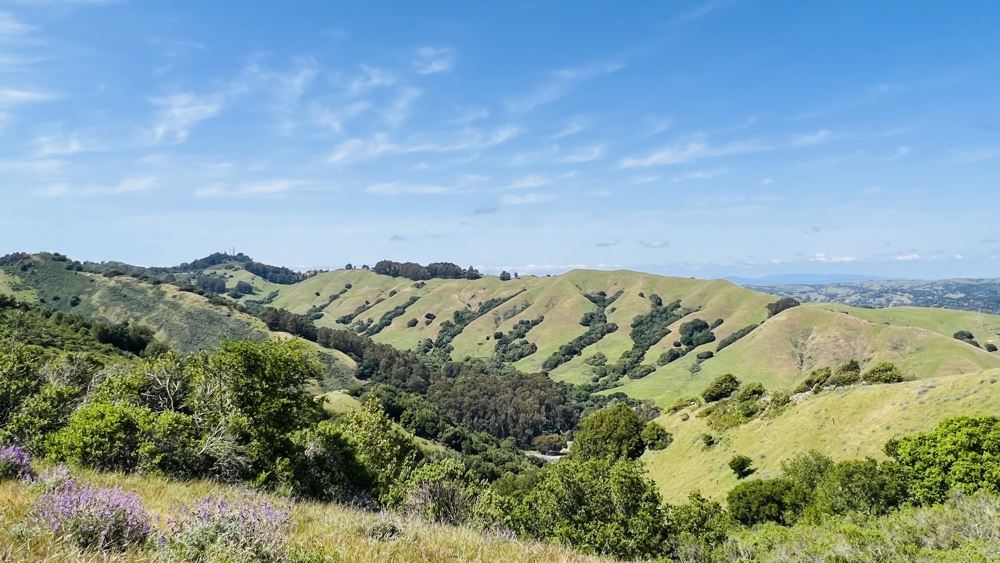 Sibley Volcanic Regional Preserve
