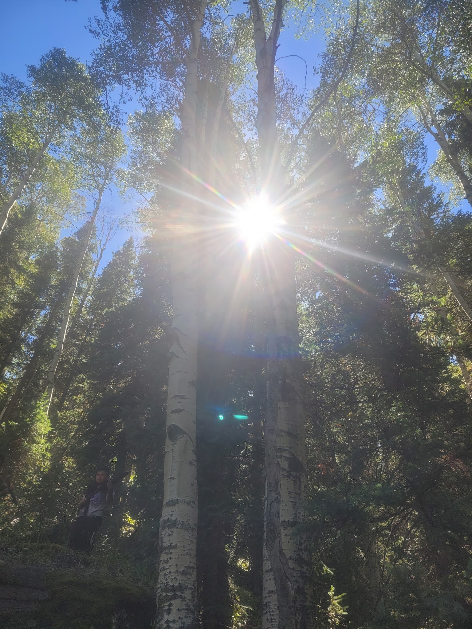 Sig Creek Campground