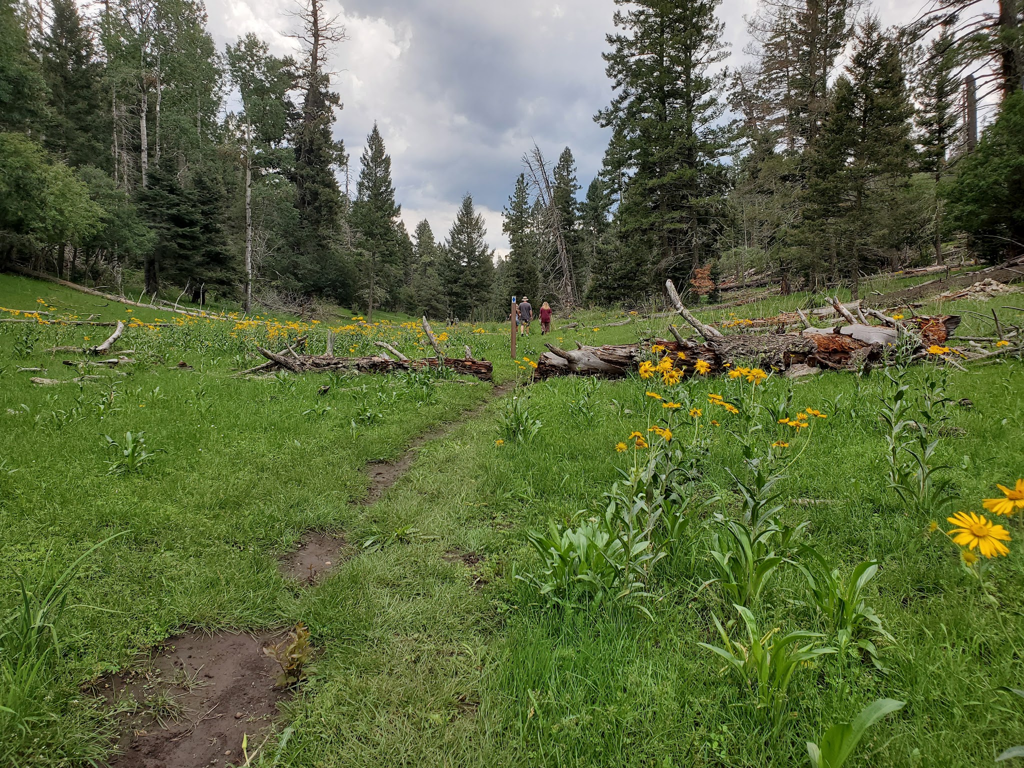 Silver Campground And Amphitheater