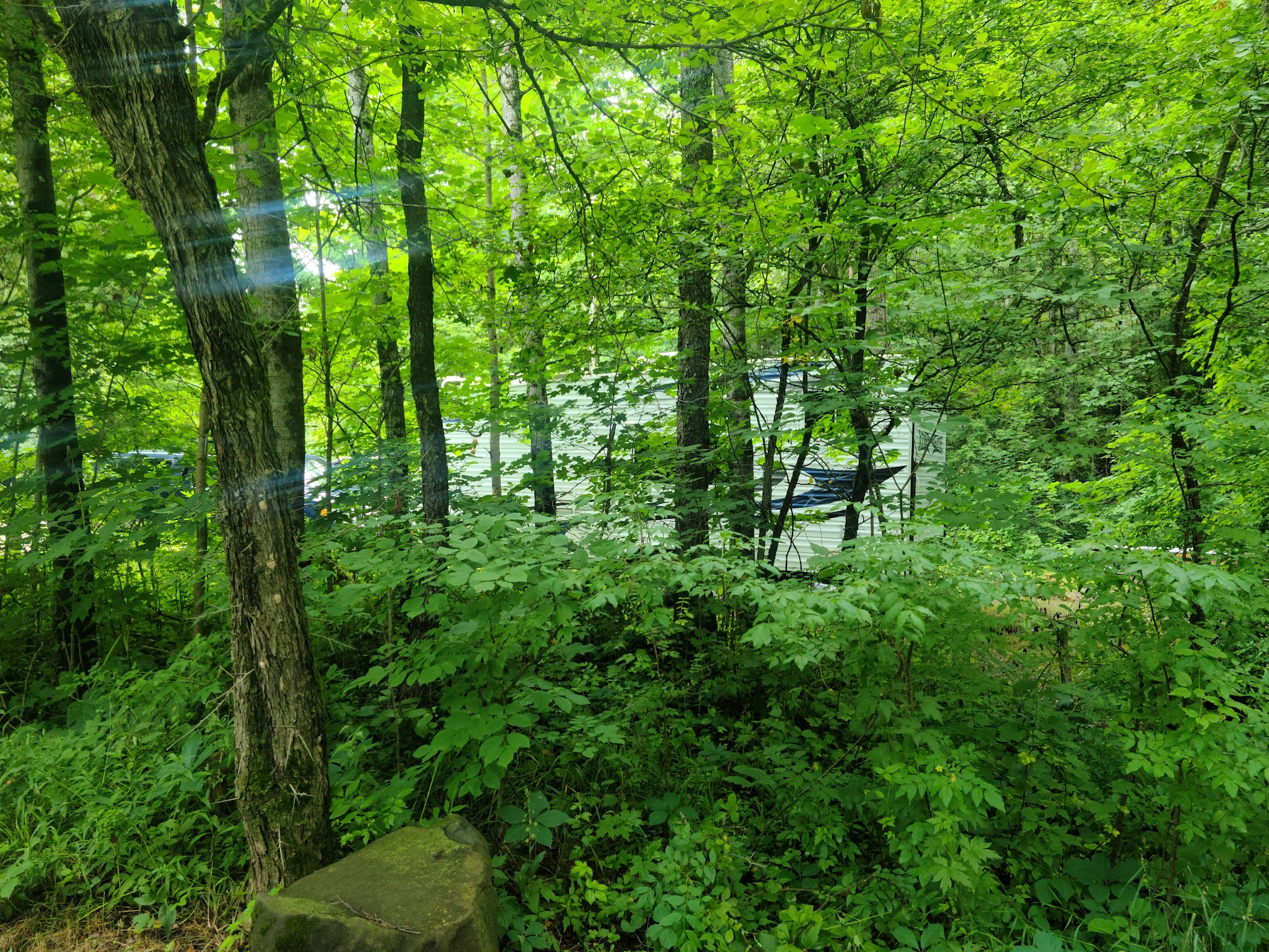 Silver Creek State Forest Campground