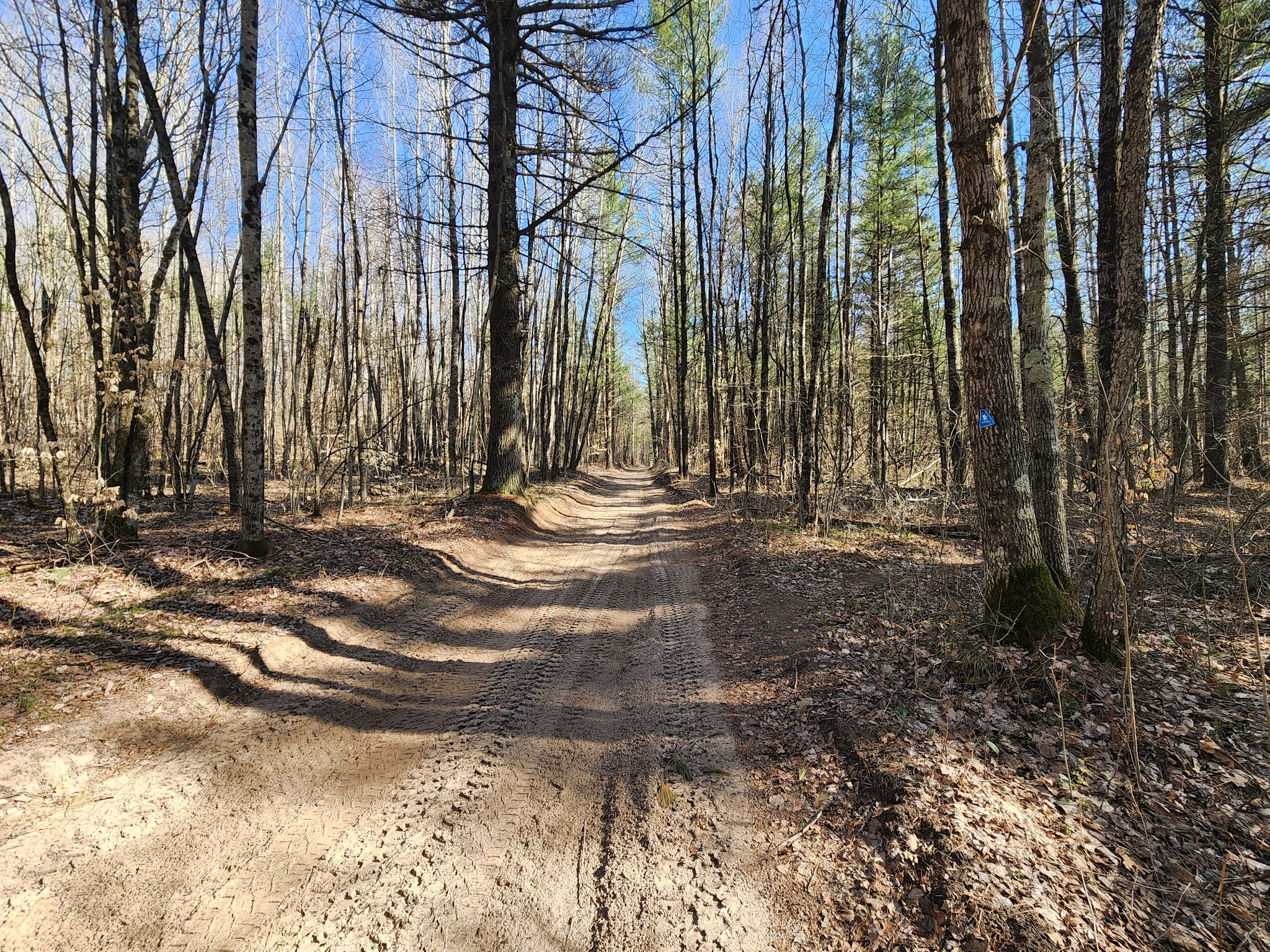 Silver Creek State Forest Campground