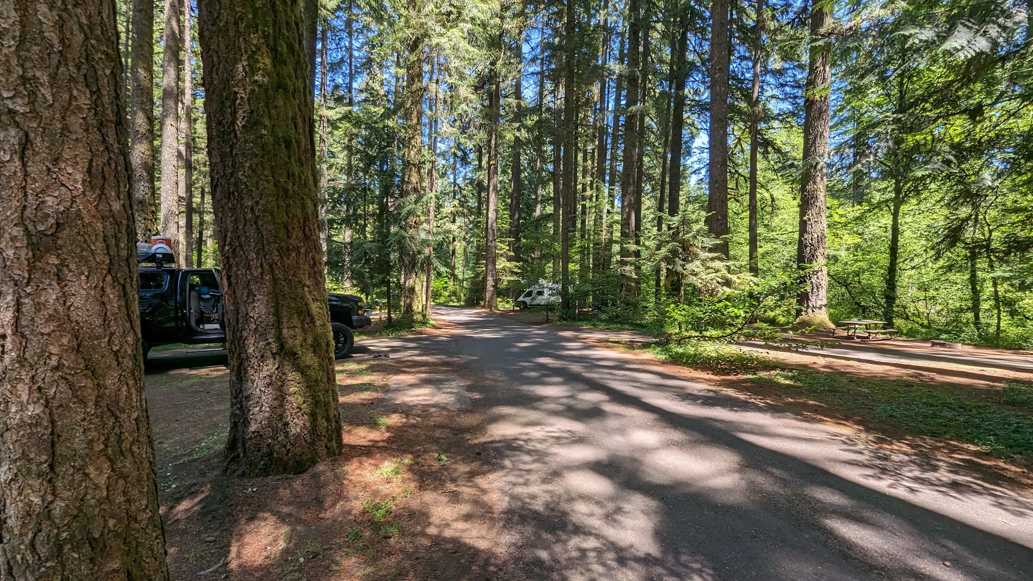 Silver Falls State Park