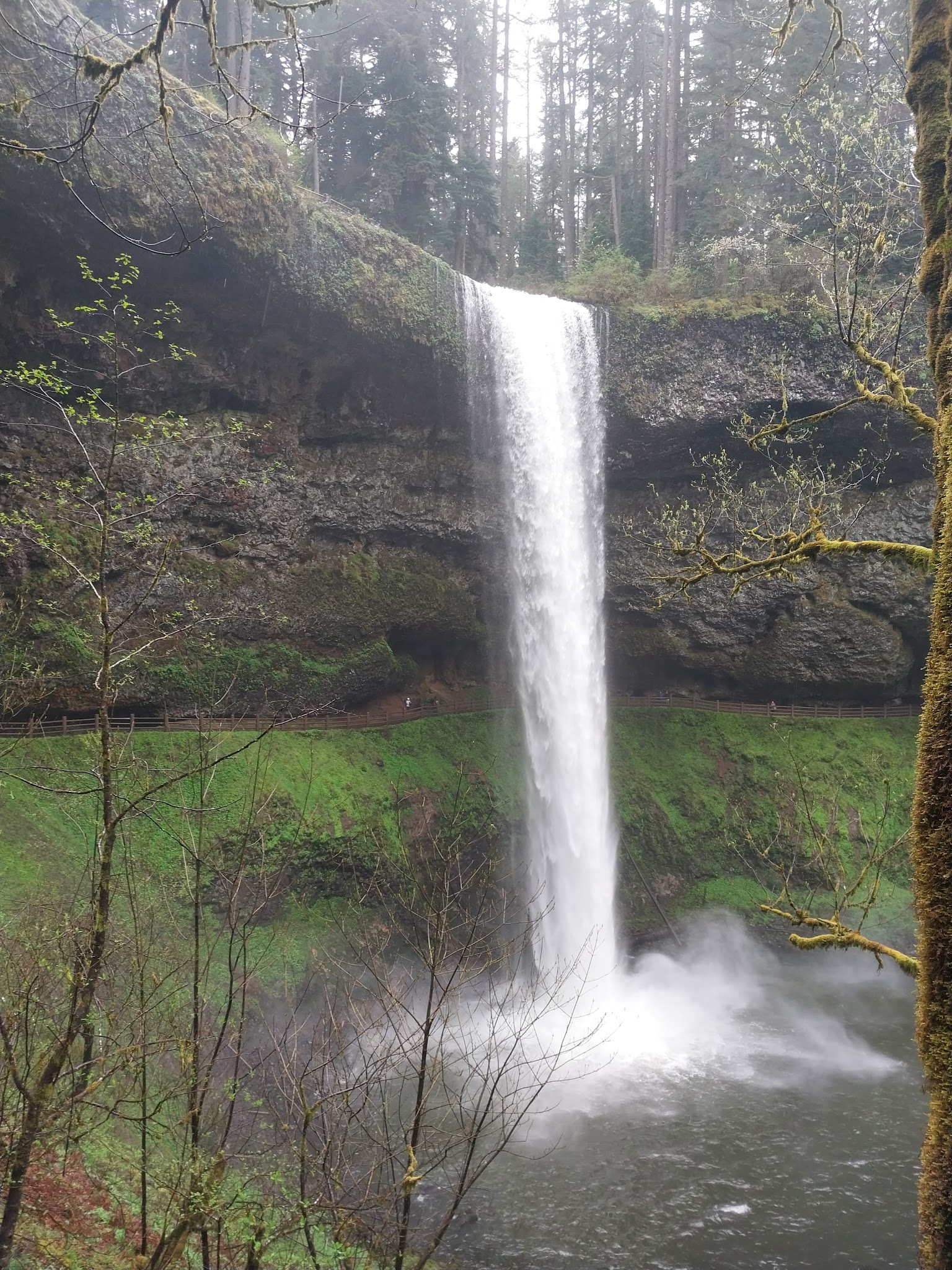 Silver Falls State Park