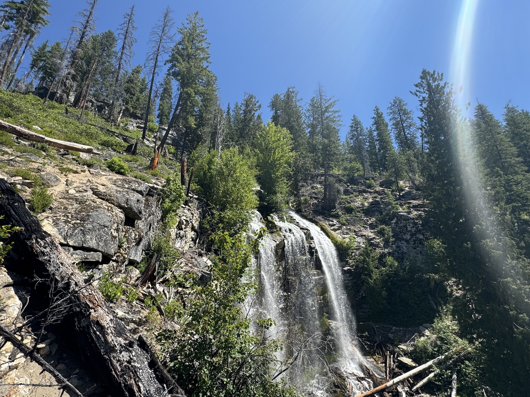 Silver Falls Group Site