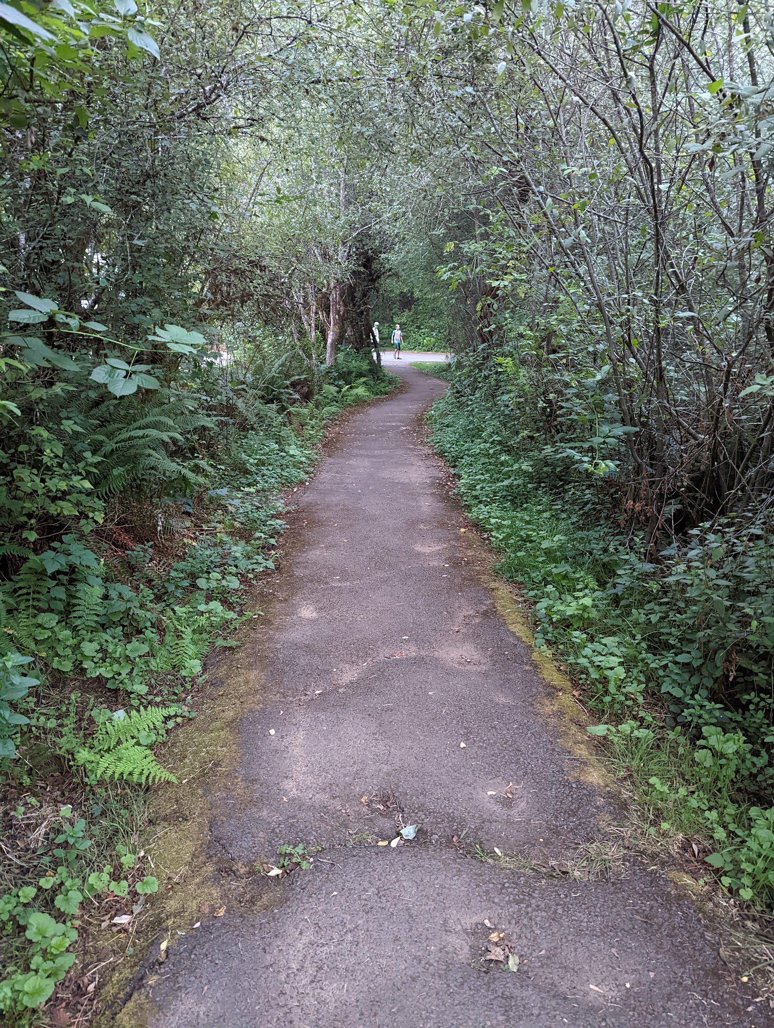 Silver Falls State Park