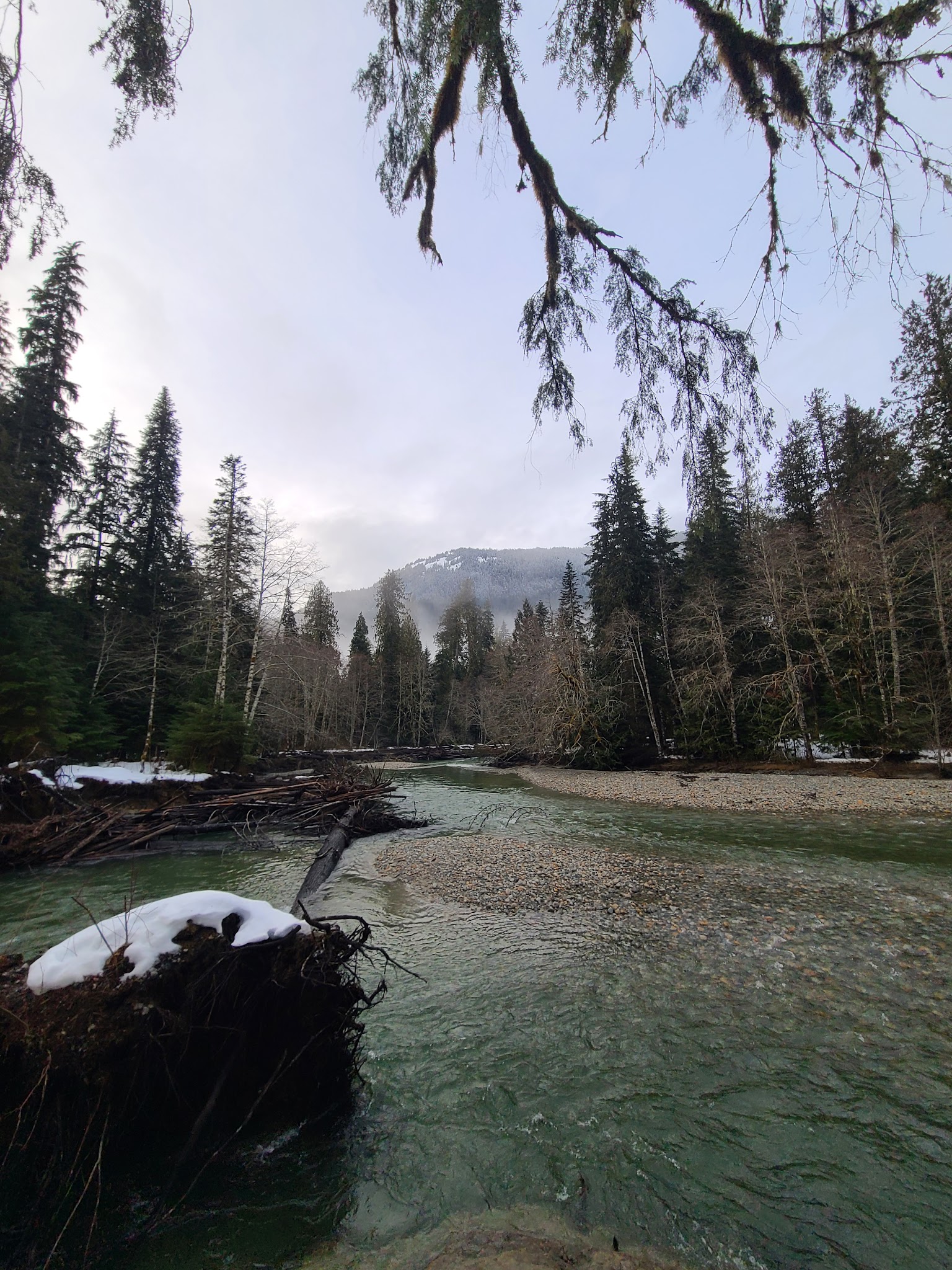Silver Fir Campground