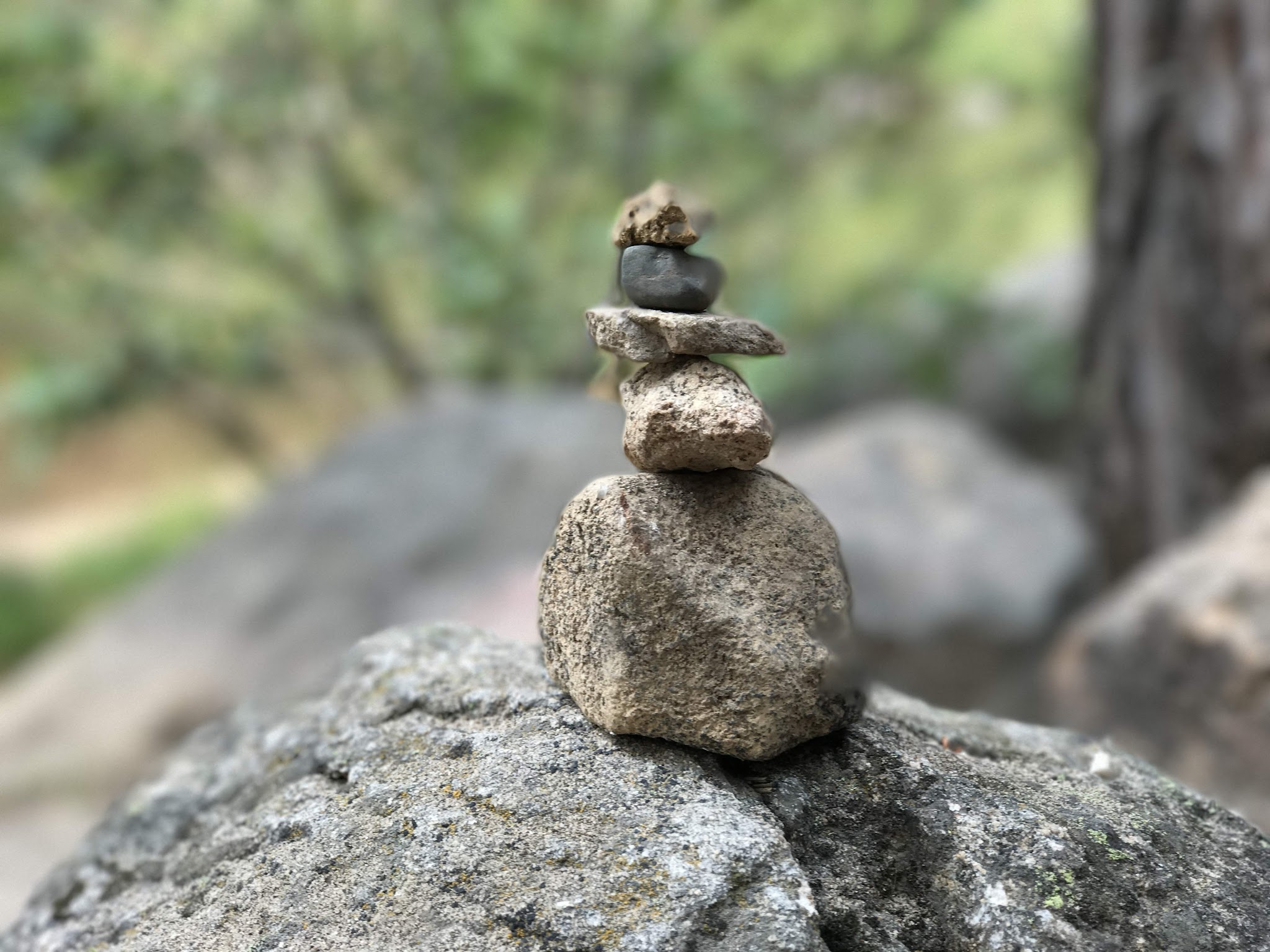 Silver Fork Campground