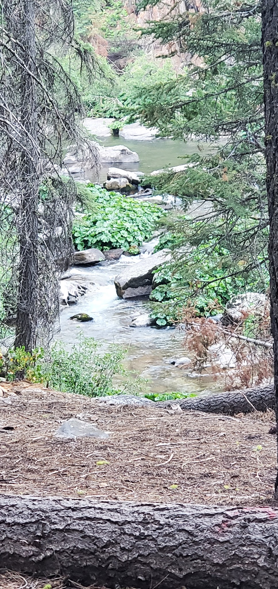 Silver Fork Campground