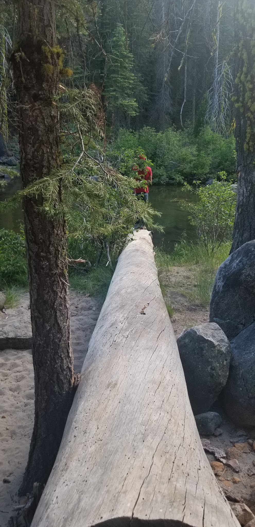 Silver Fork Campground