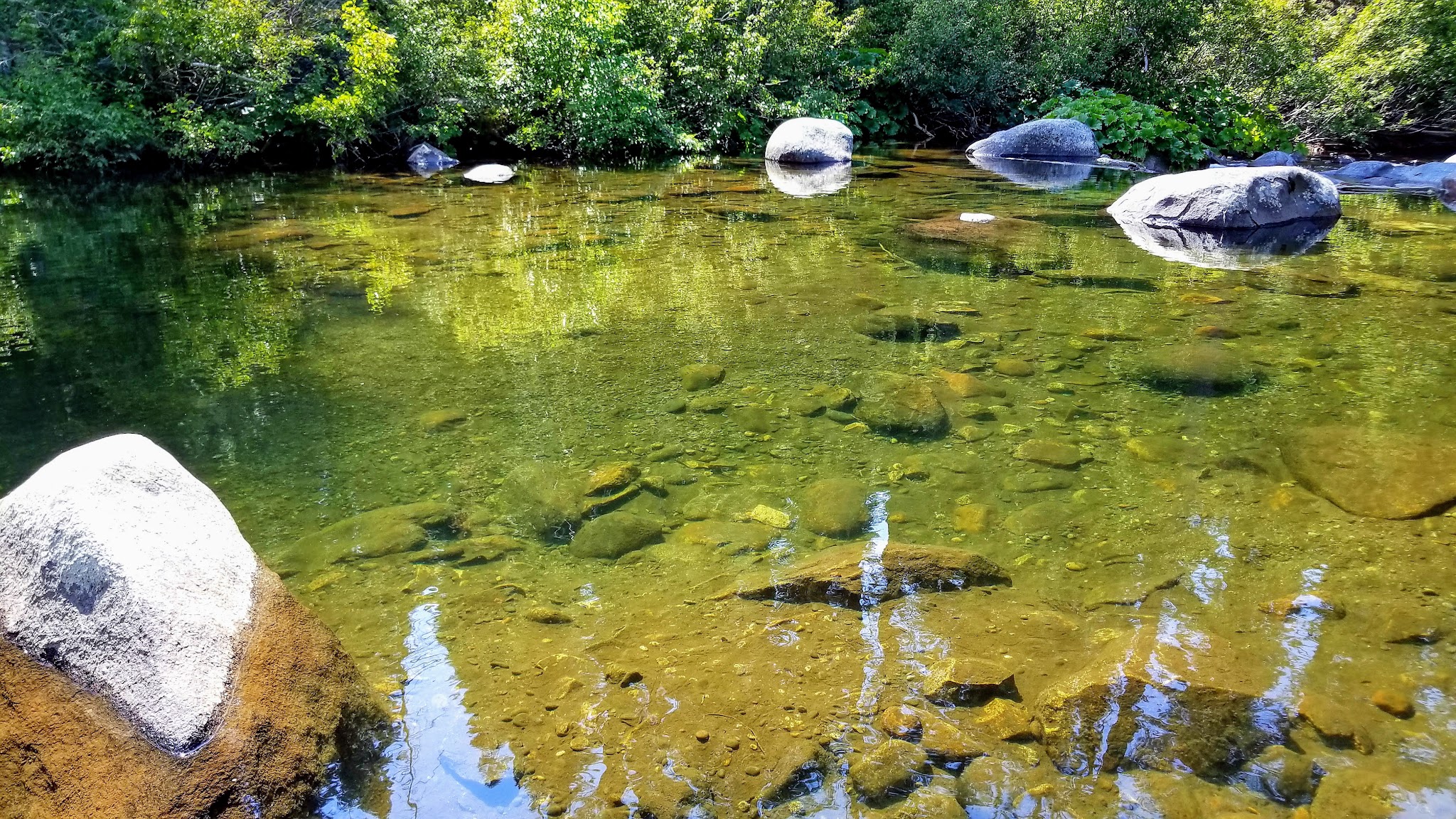 Silver Fork Campground