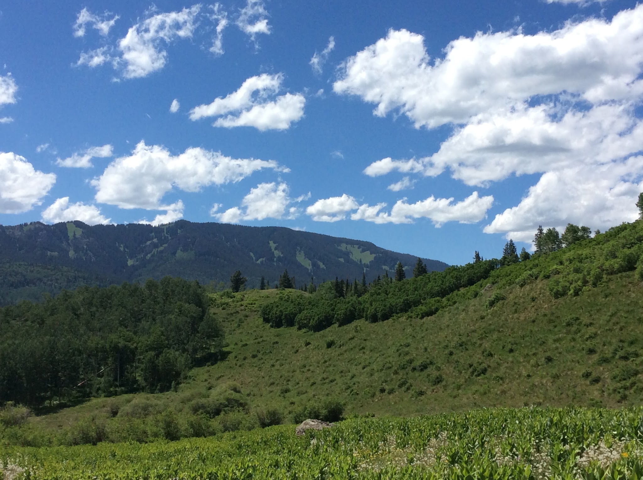 Silver Jack Campground (Co)