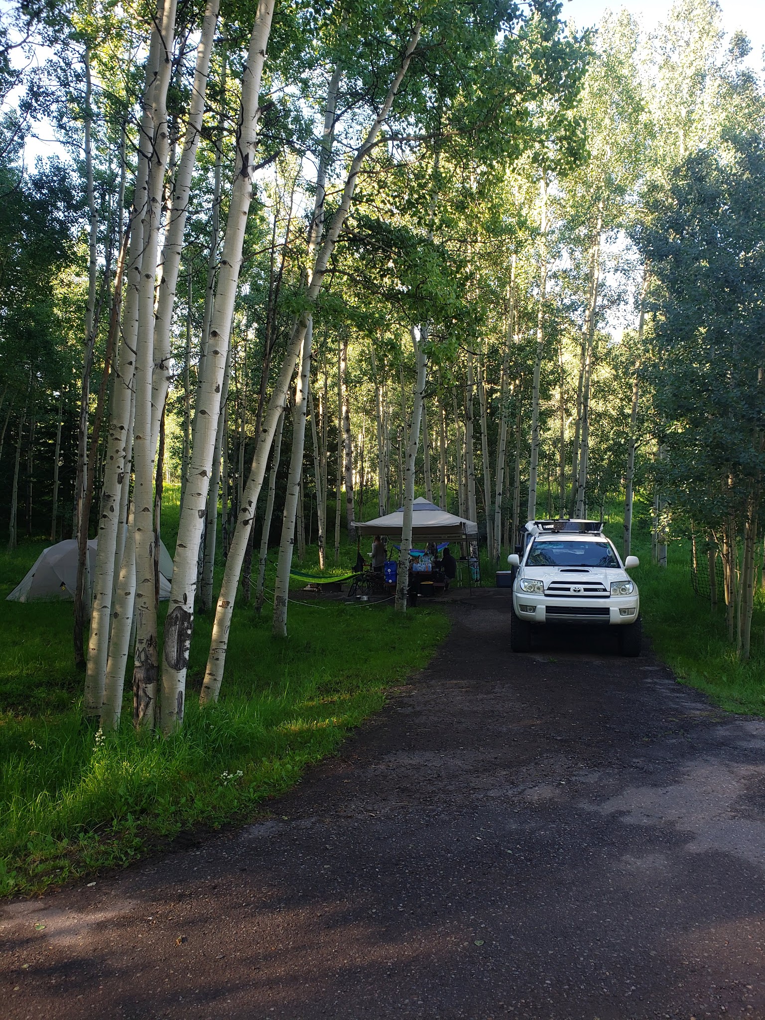 Silver Jack Campground (Co)