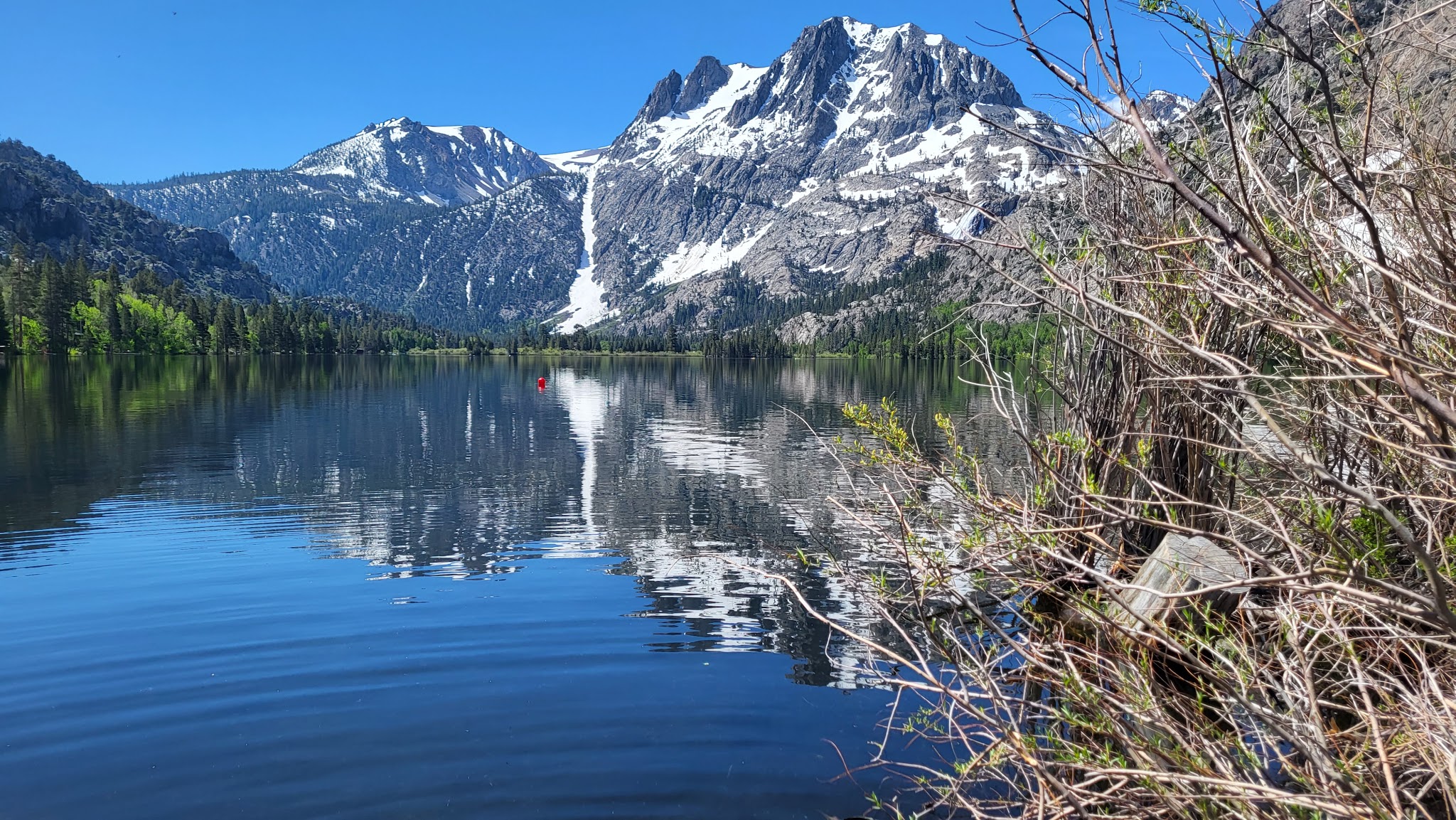 Silver Lake Campground June Lake (Ca)