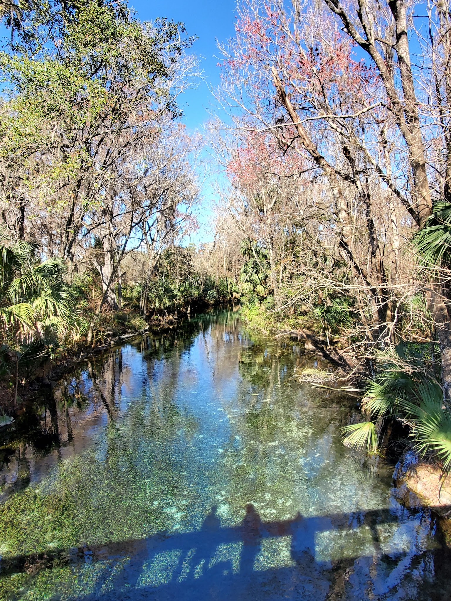 Silver Springs State Park Campground