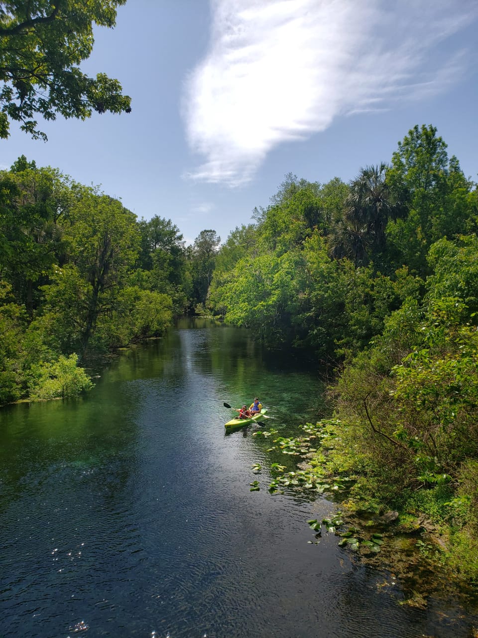 Silver Springs State Park Campground