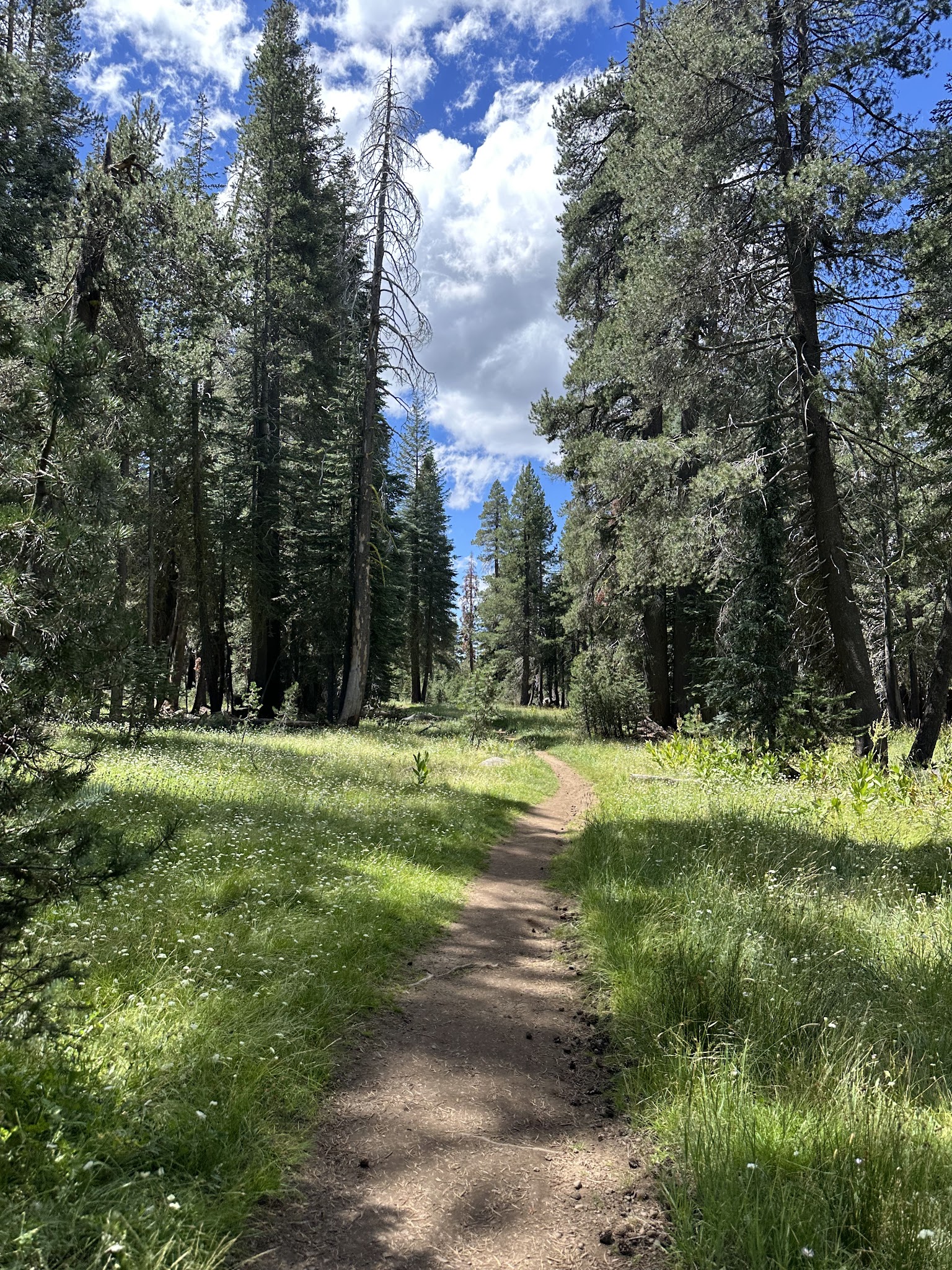 Tent Campgrounds in Nevada