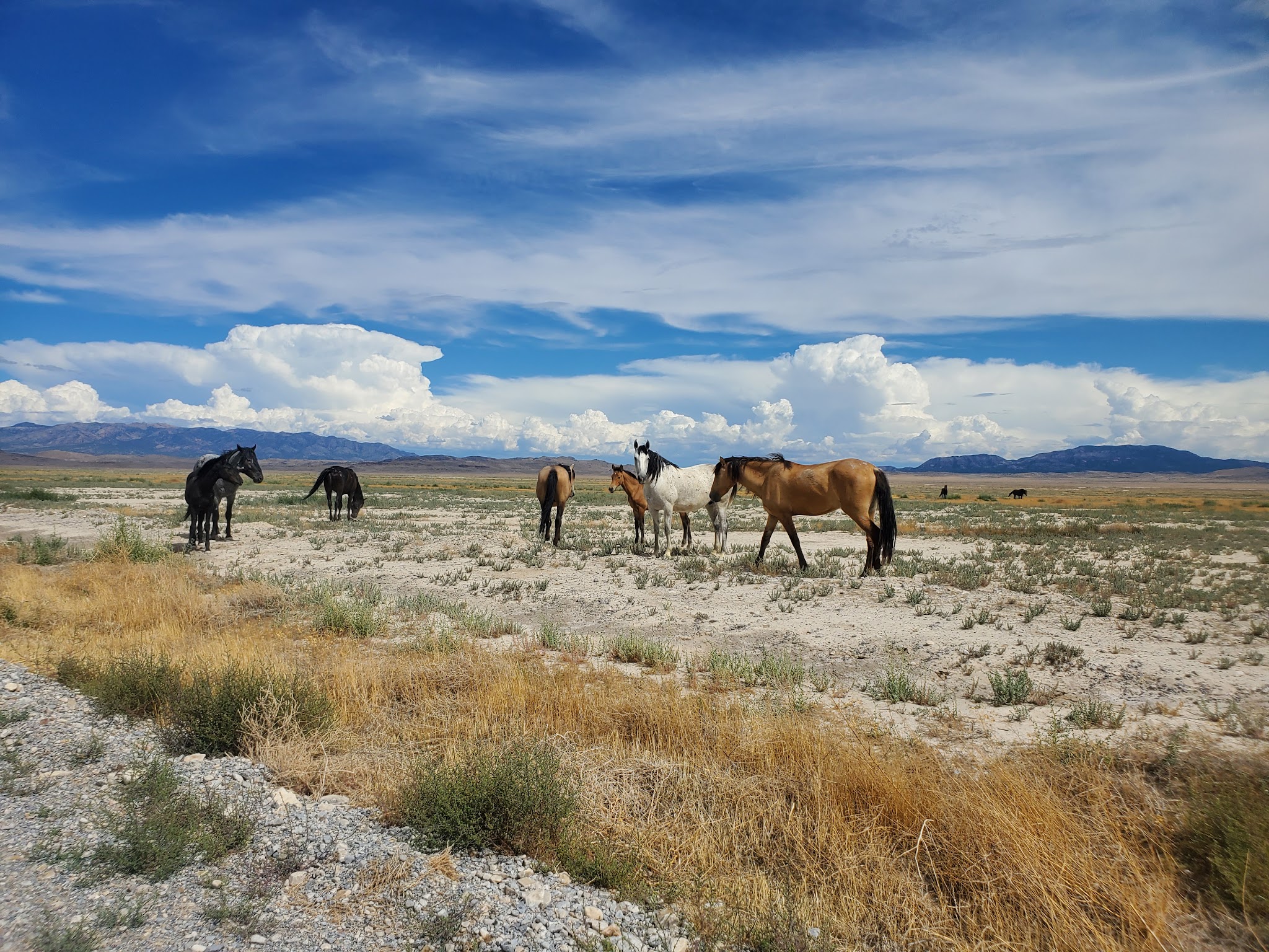 Simpson Springs Campground