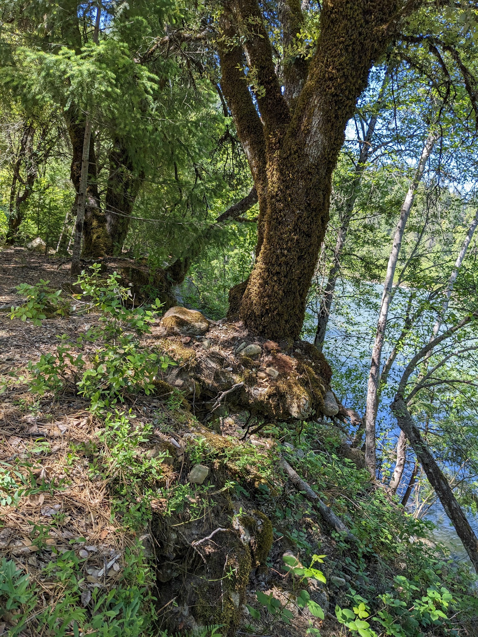 Sims Flat Campground