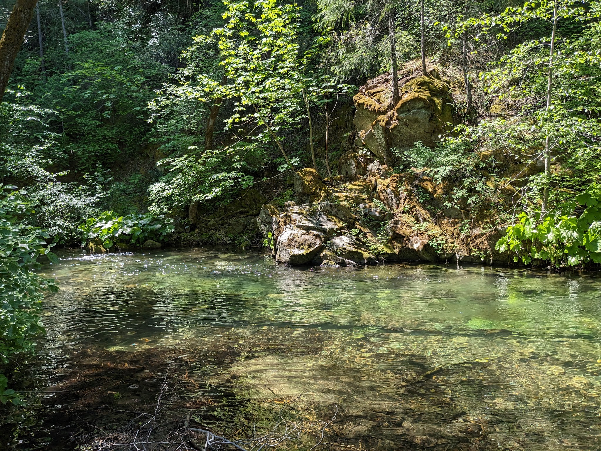 Sims Flat Campground