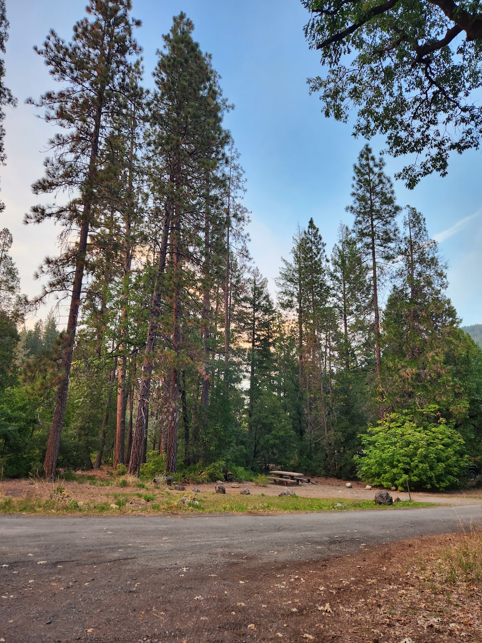 Sims Flat Campground