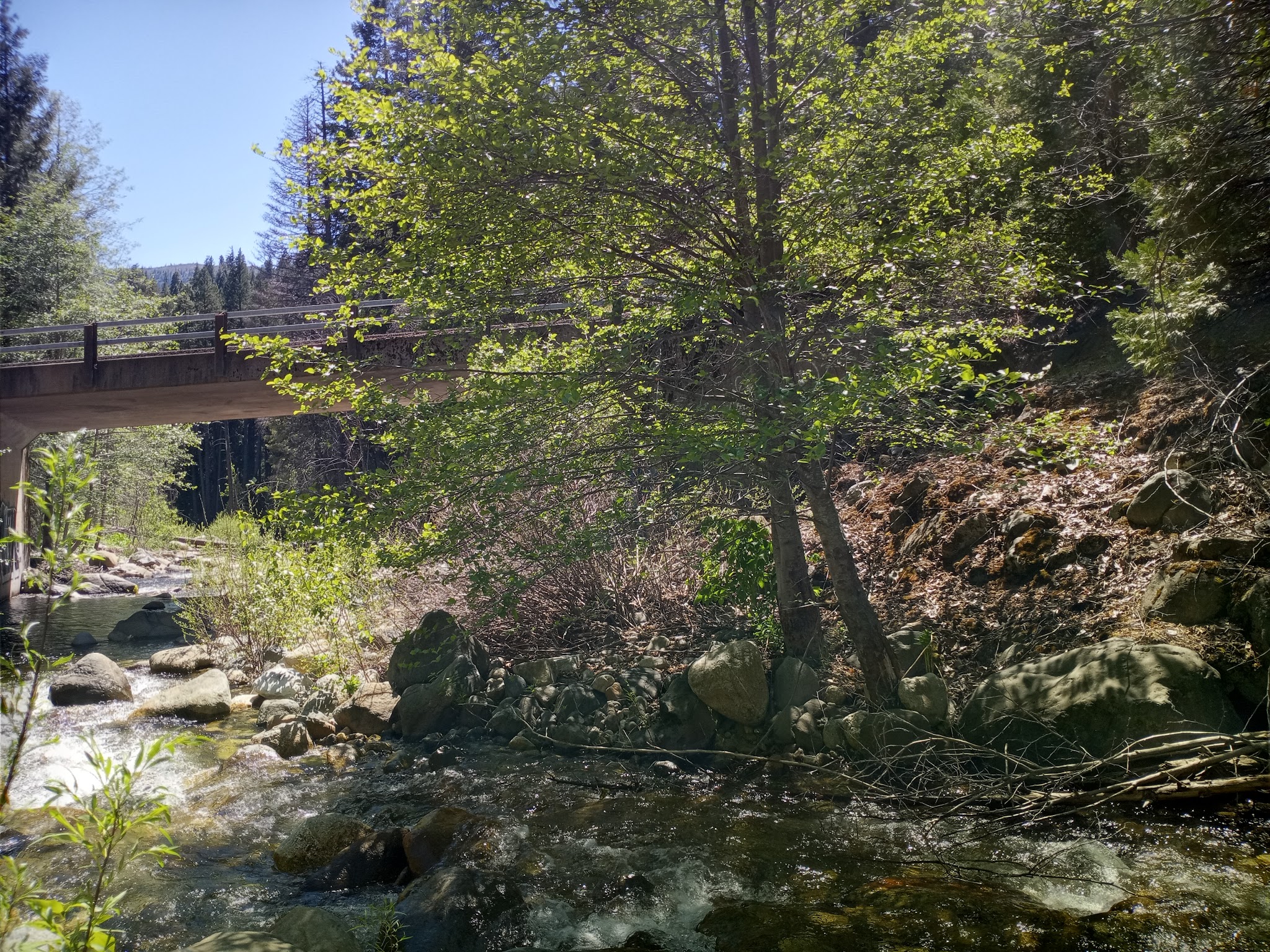 Sims Flat Campground