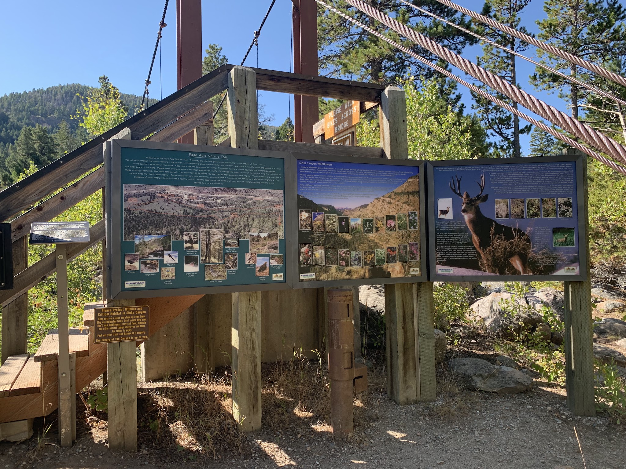 Sinks Canyon Campground